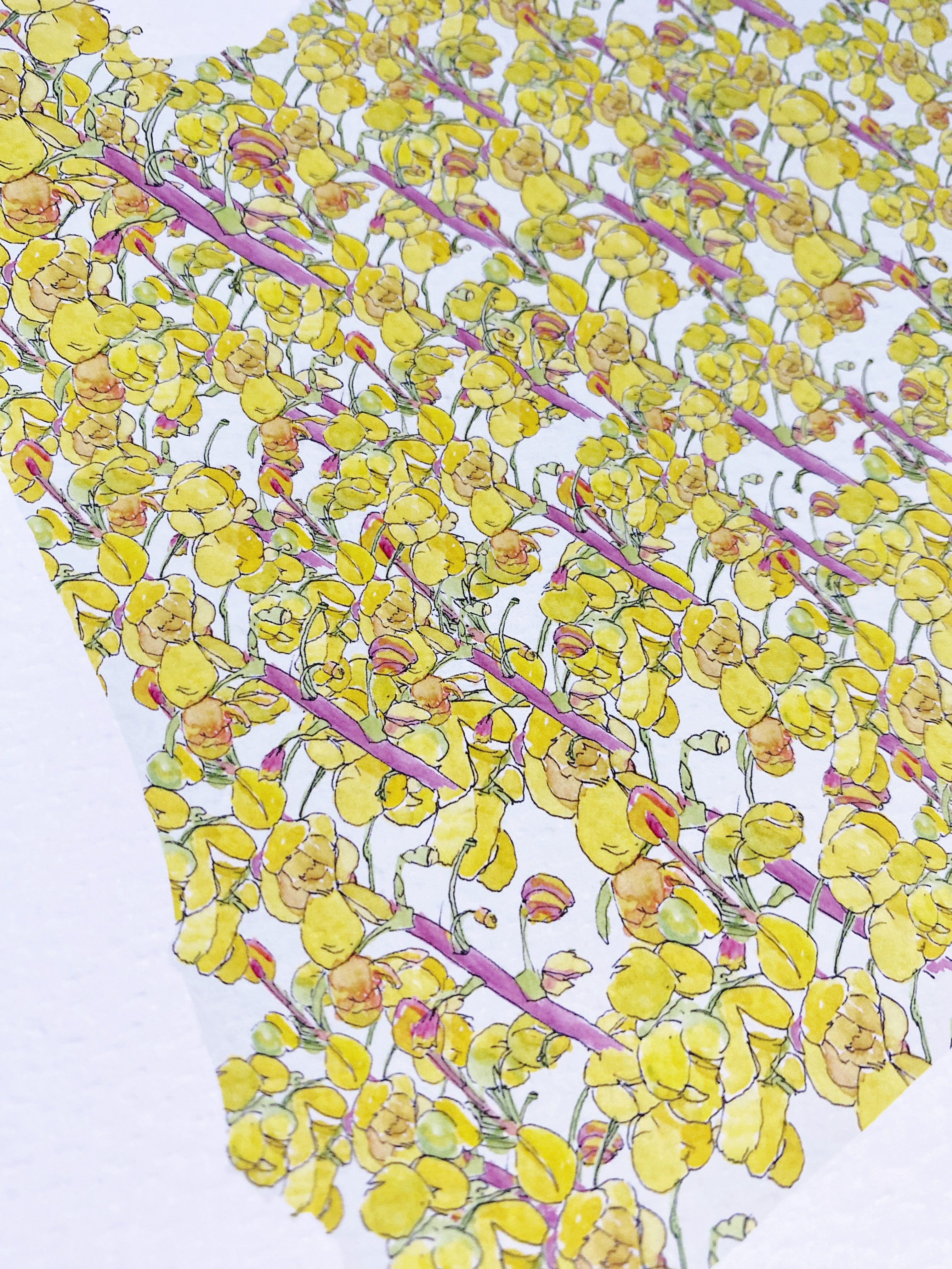 OREGON State Flower Map: Oregon Grape: PRINT