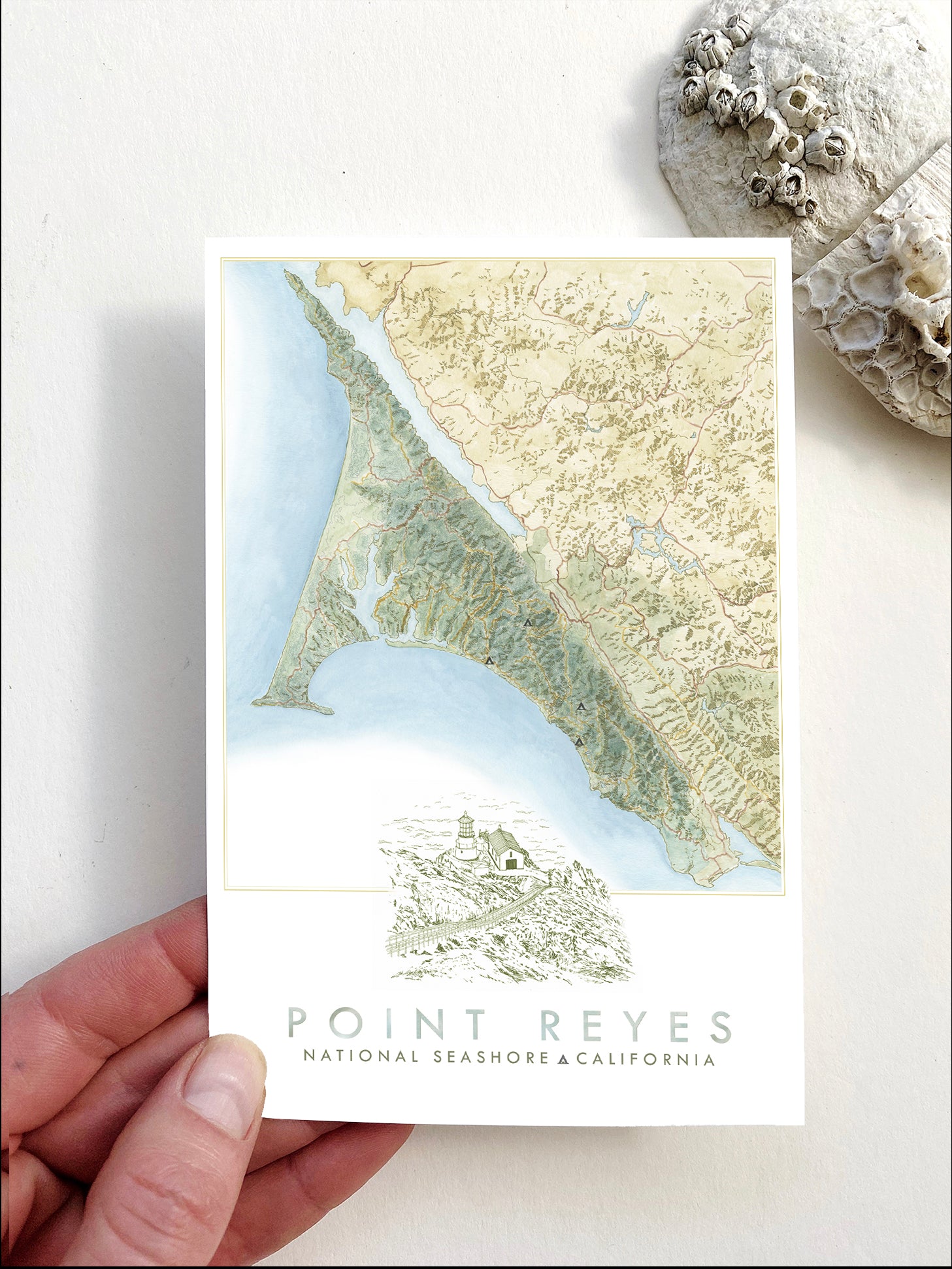 POINT REYES National Seashore California Map Postcard