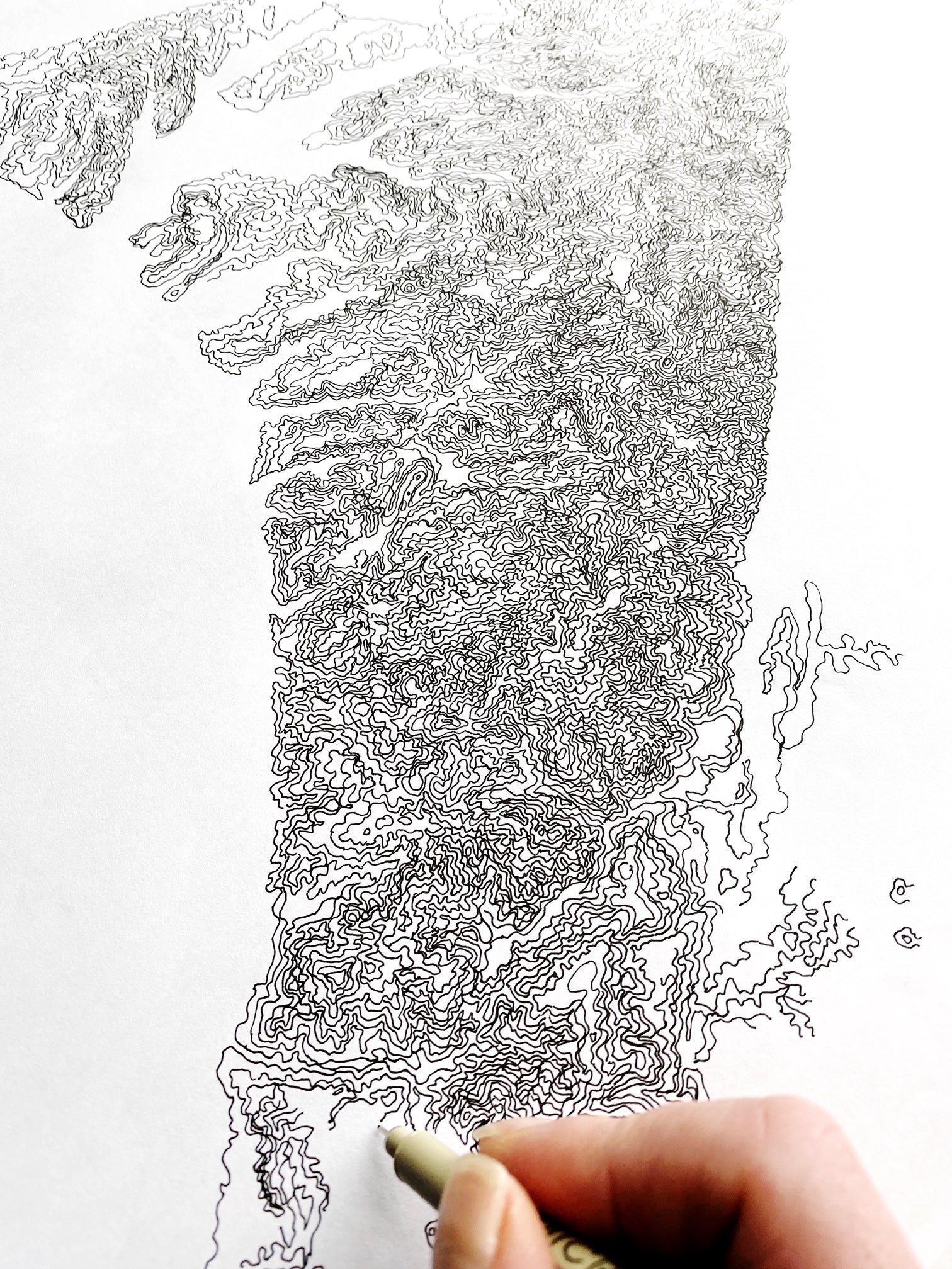 POINT REYES National Seashore California Watercolor Topo Map: MAGNET