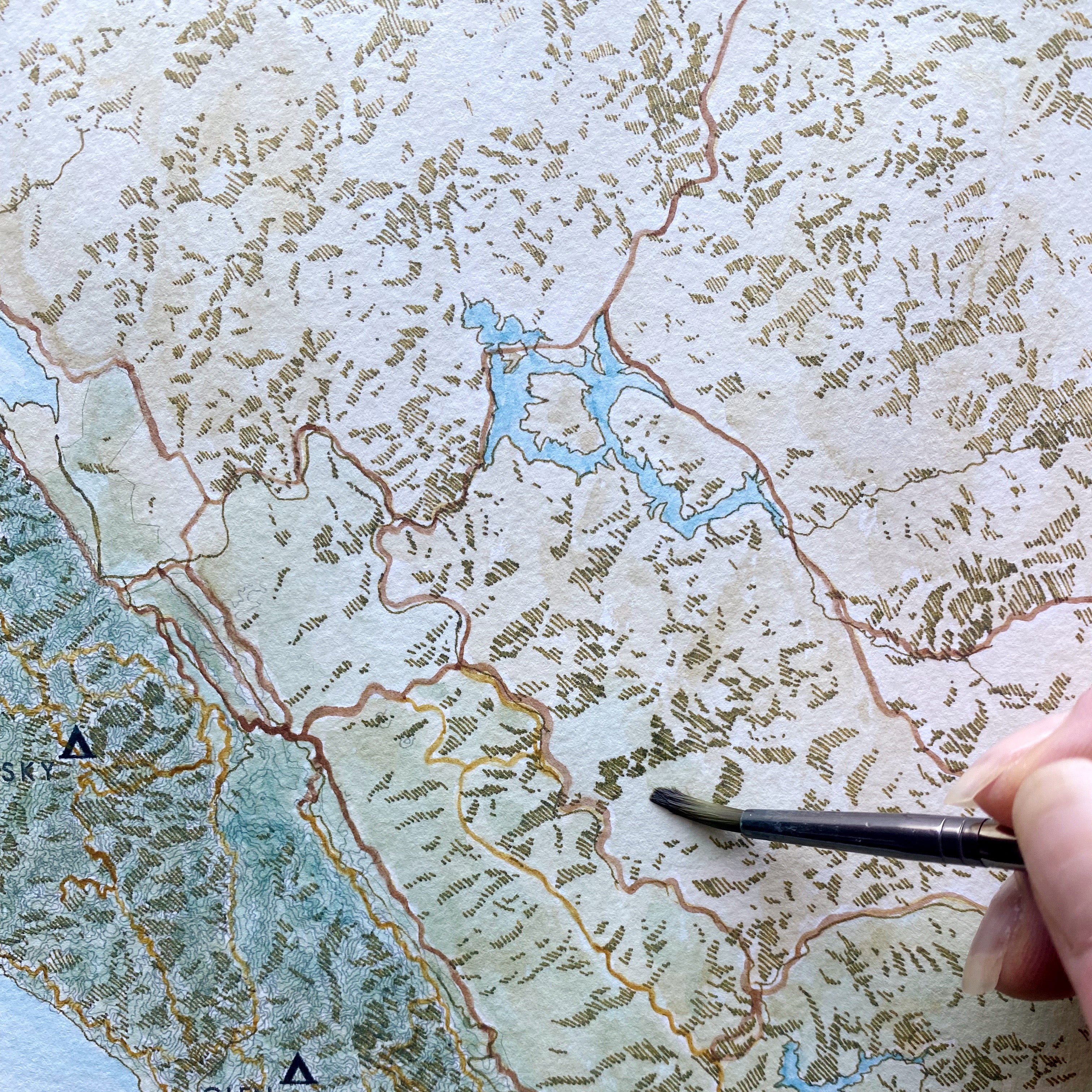 POINT REYES National Seashore California Watercolor Topo Map: MAGNET