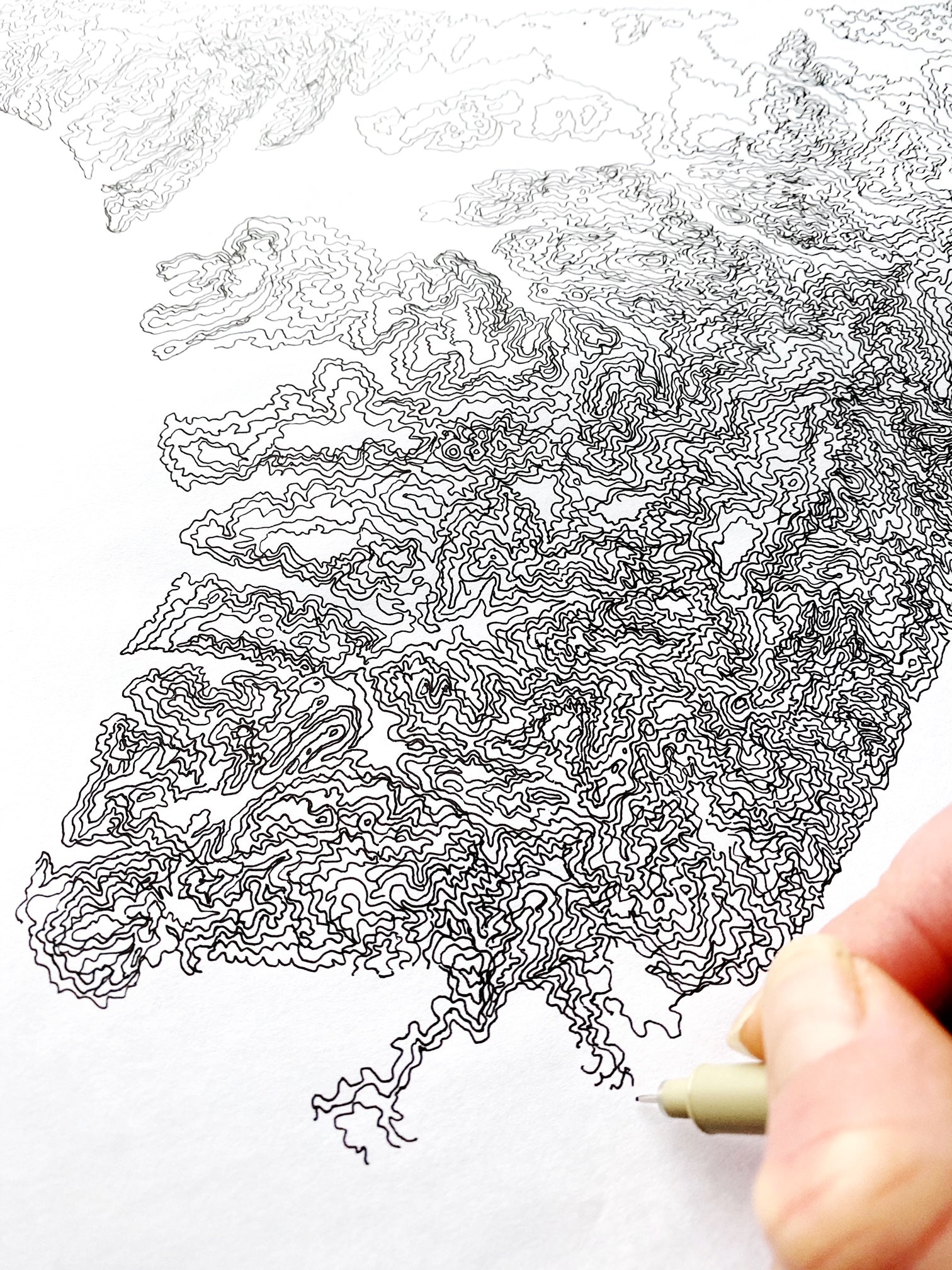 POINT REYES National Seashore California Map Postcard