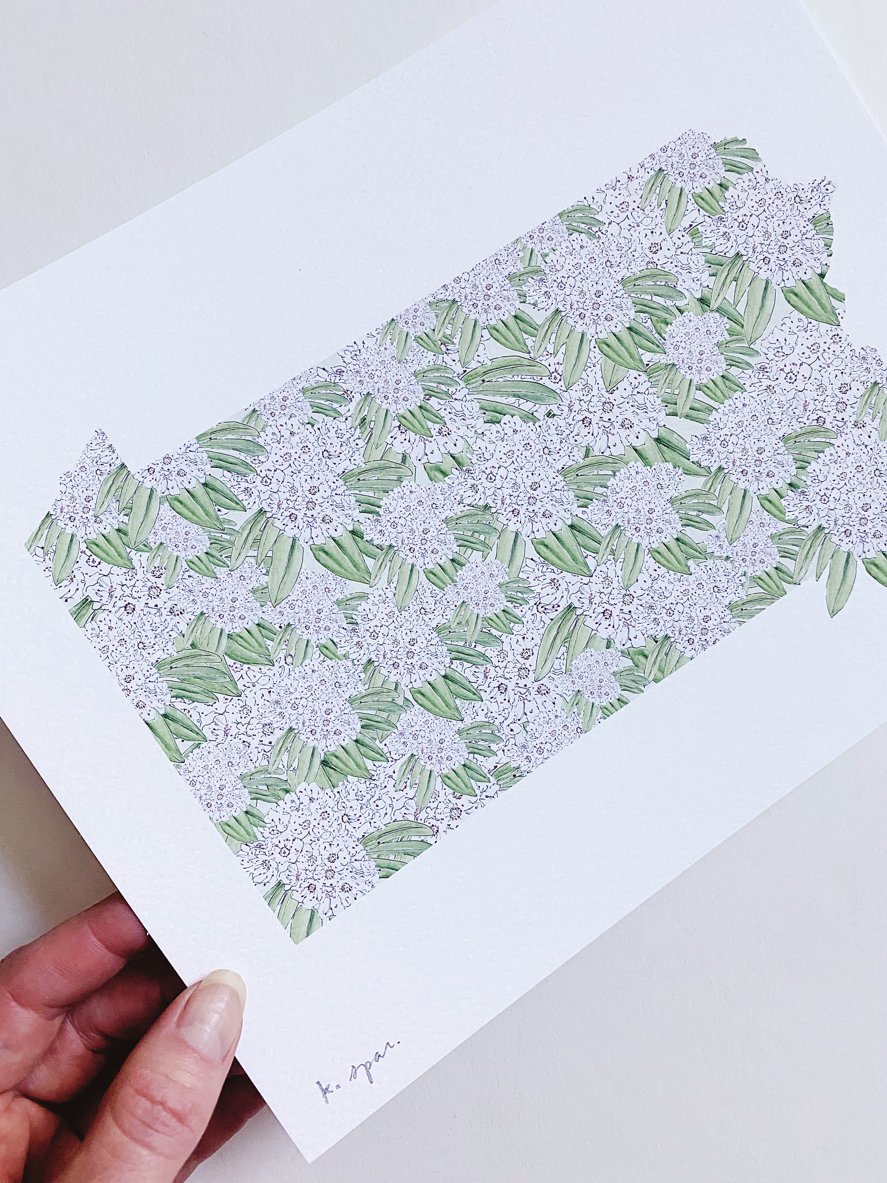 PENNSYLVANIA State Flower Map: Mountain Laurel: PRINT