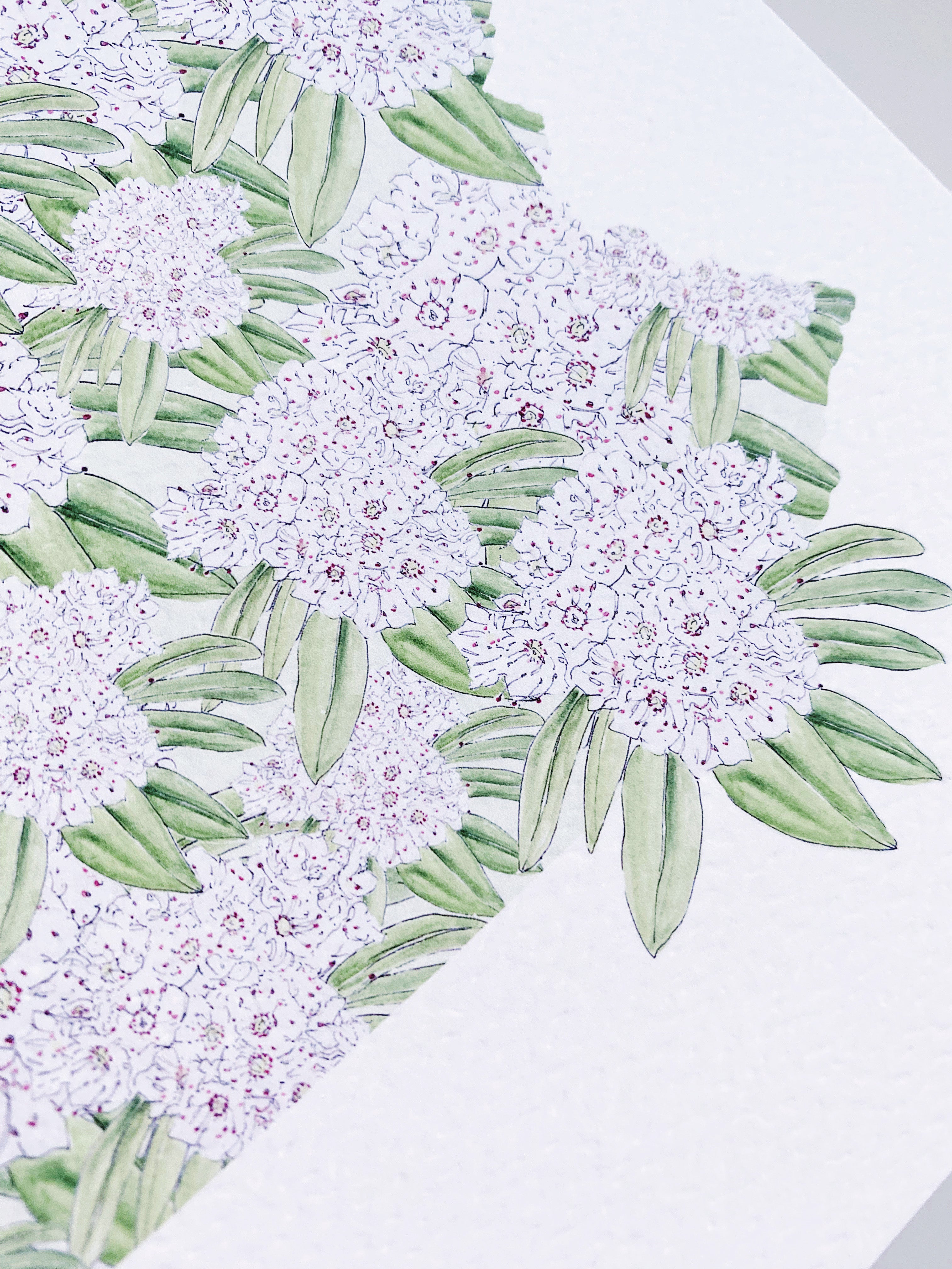 PENNSYLVANIA State Flower Map: Mountain Laurel: PRINT