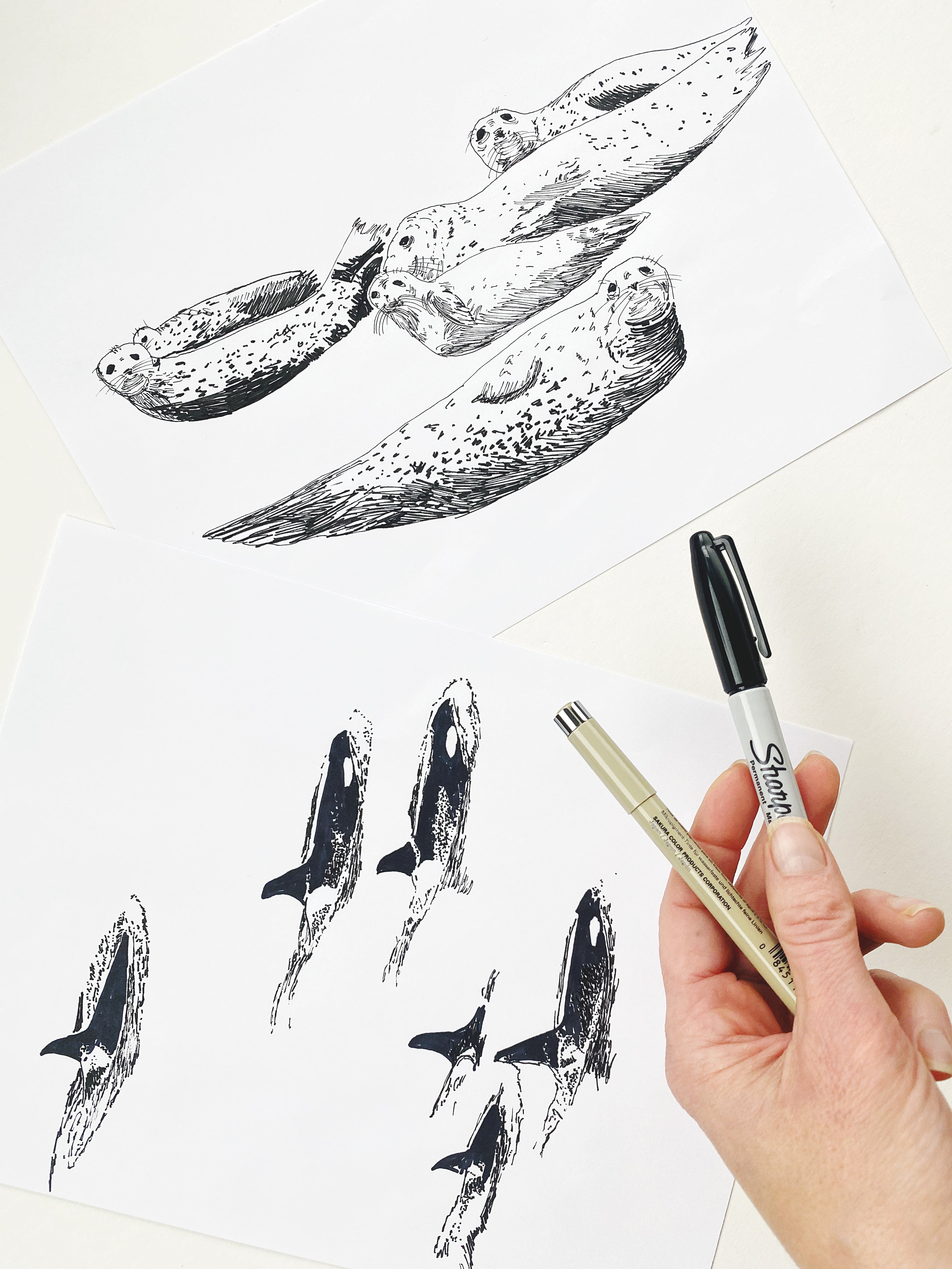 POINT DEFIANCE Park Art Map TACOMA Washington: Horizontal PRINT