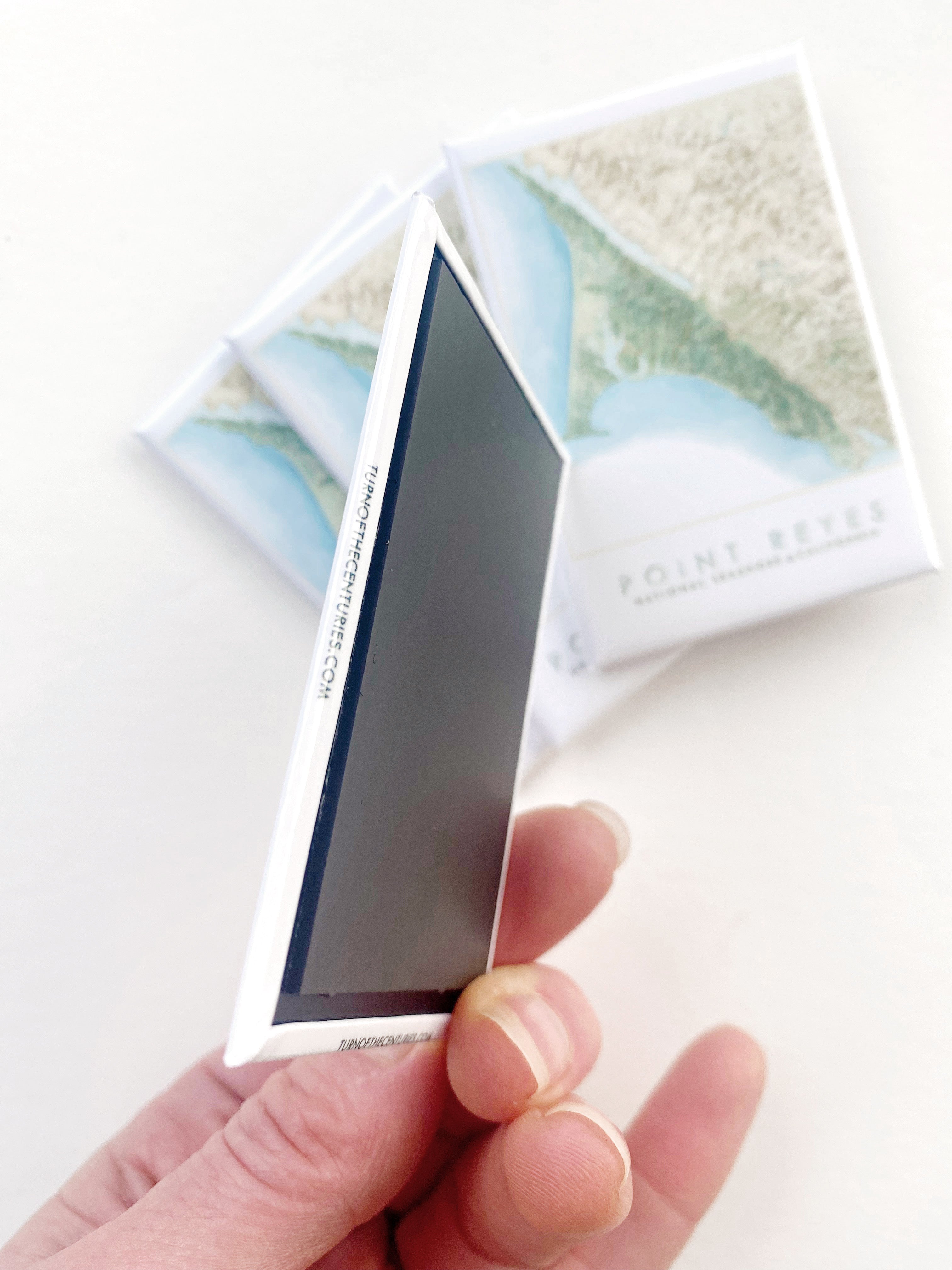 POINT REYES National Seashore California Watercolor Topo Map: MAGNET