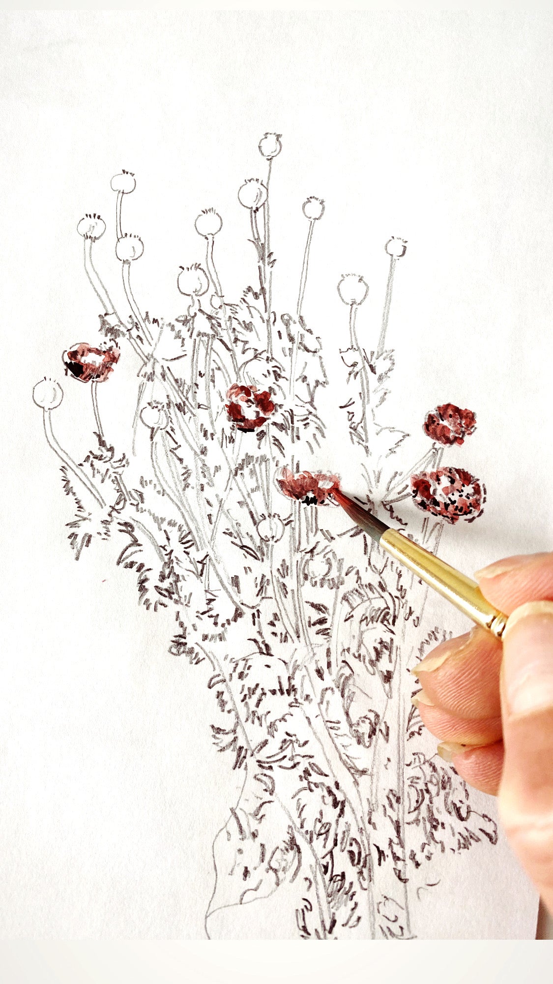 PORT TOWNSEND Washington "Garden Architecture" Postcard