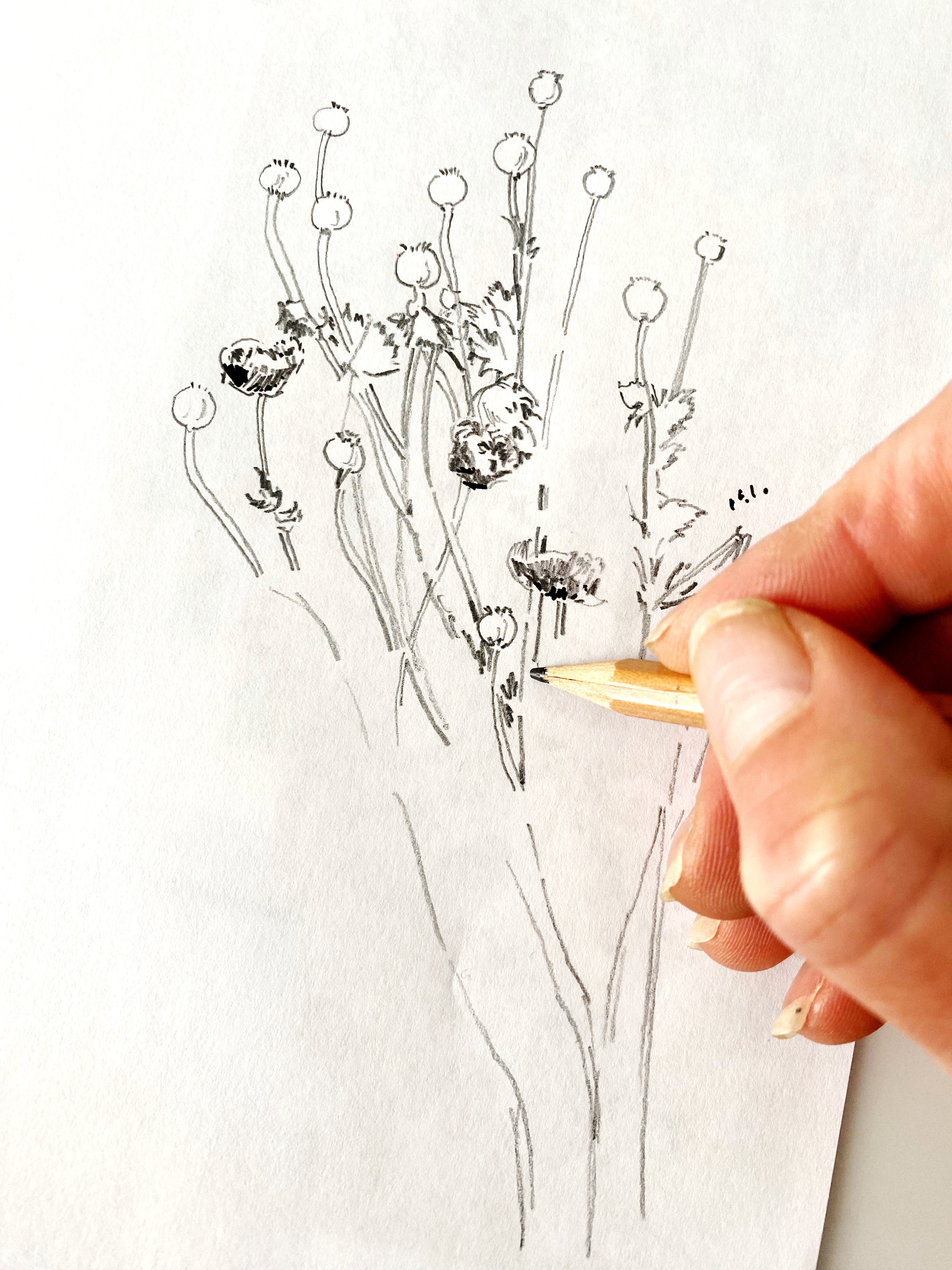 PORT TOWNSEND Washington "Garden Architecture": PRINT