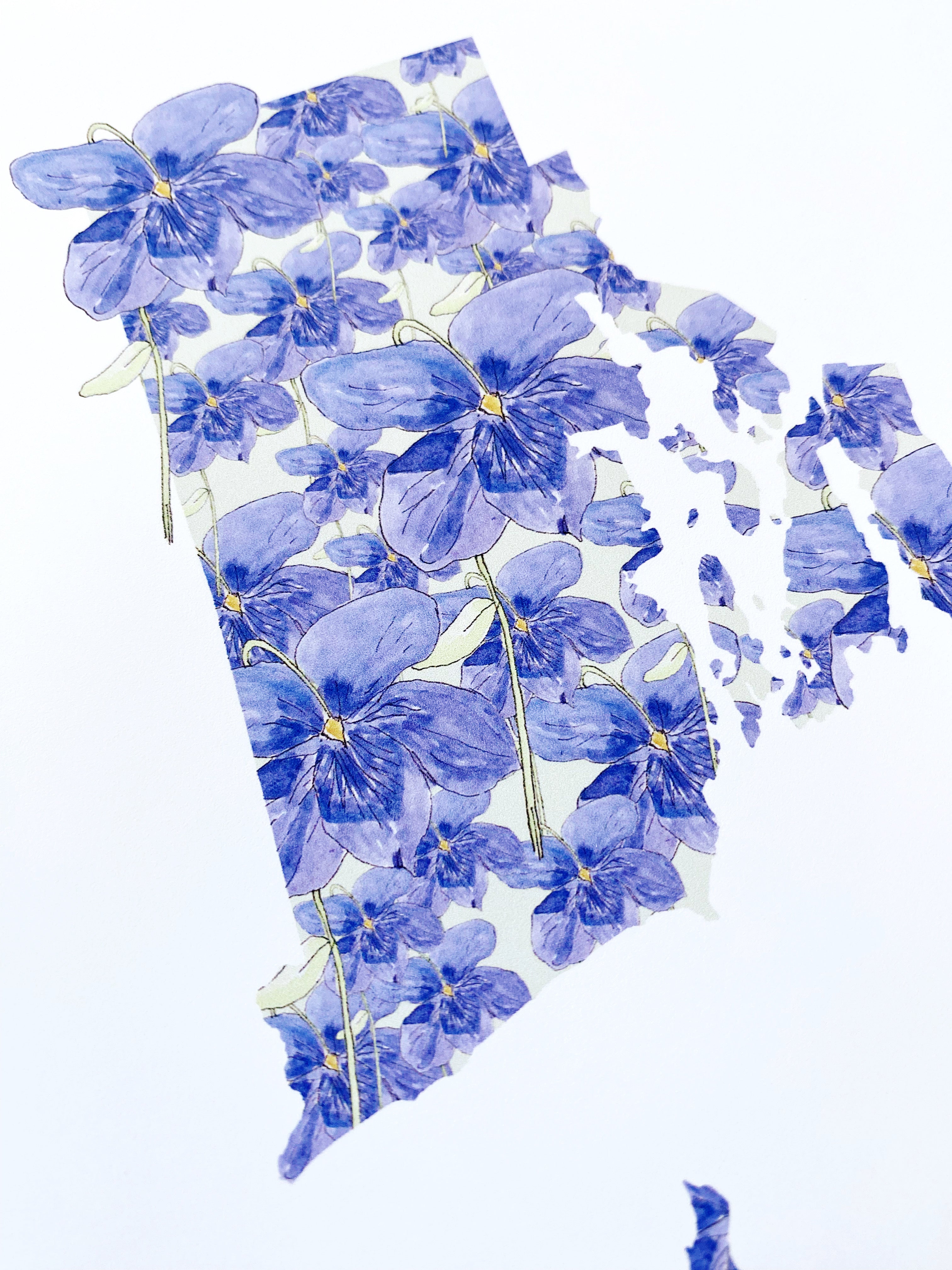 RHODE ISLAND State Flower Map: Violet: PRINT