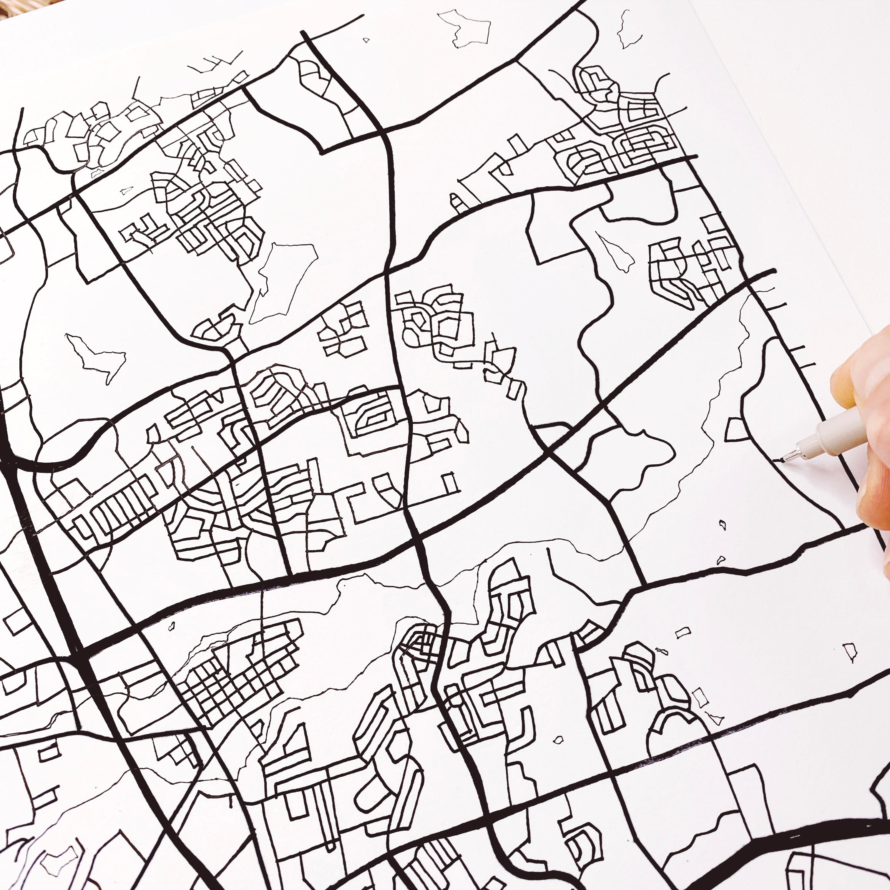 ROUND ROCK Texas City Lines Map: PRINT