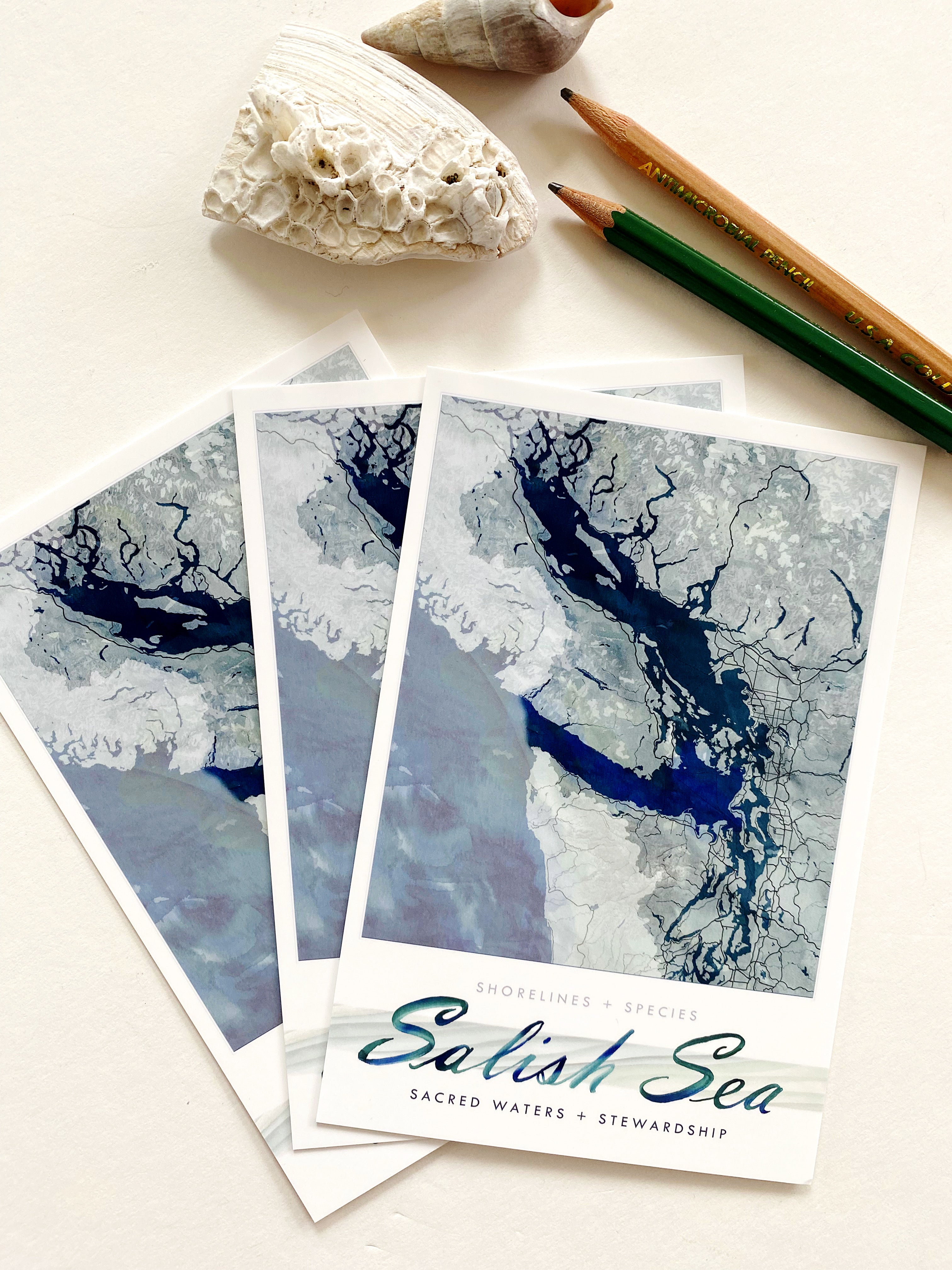 SALISH SEA Puget Sound Map Postcard