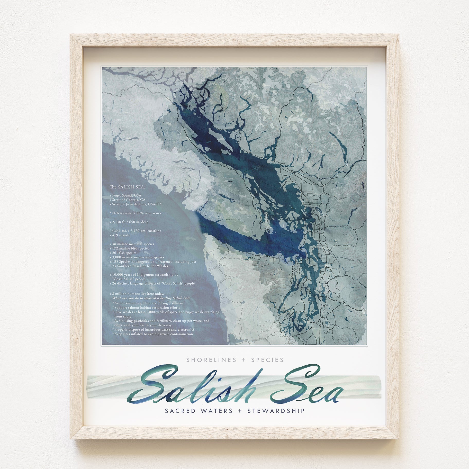 SALISH SEA Puget Sound Washington Strait of Georgia British Columbia Watercolor Map: PRINT