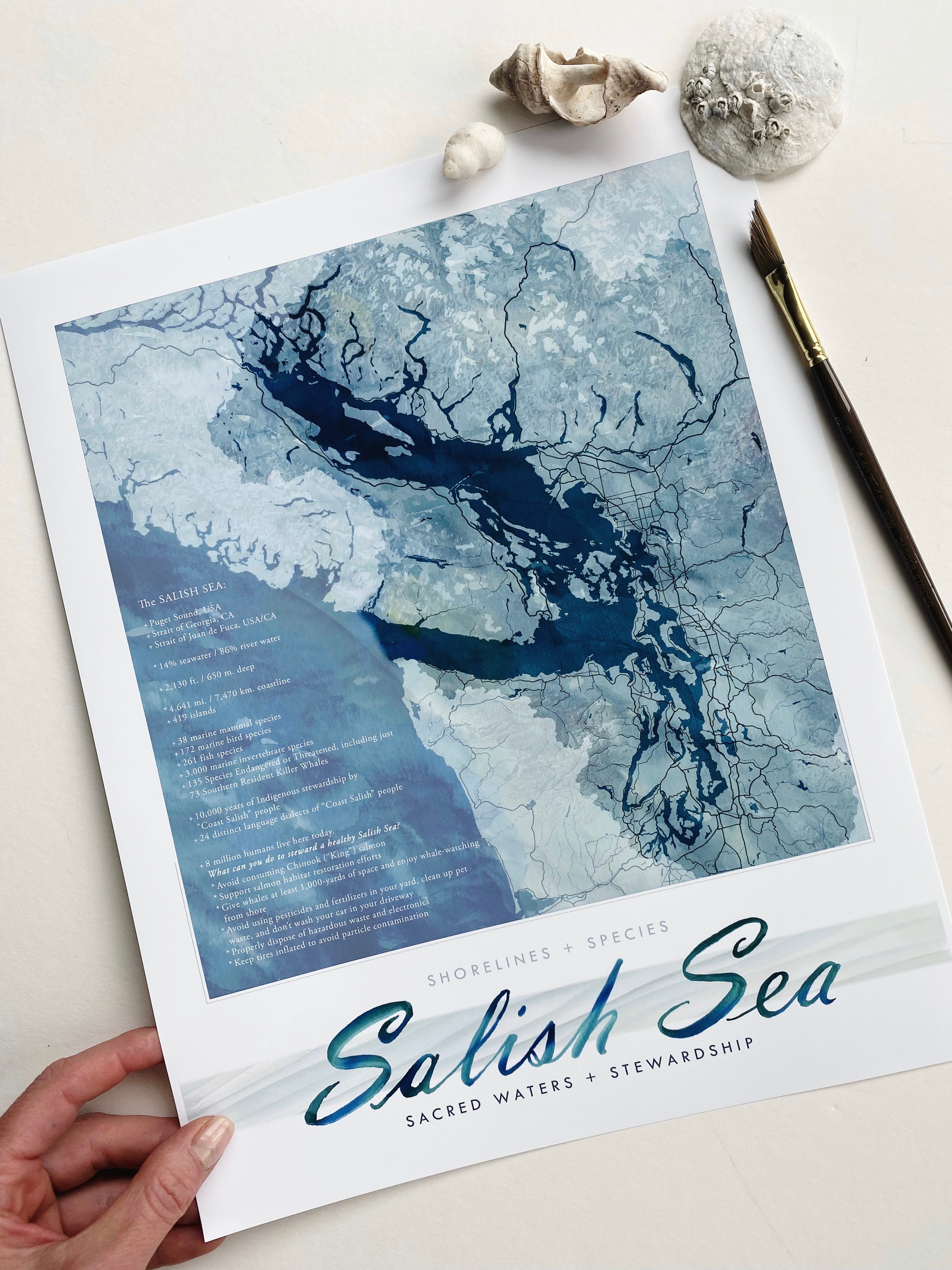 SALISH SEA Puget Sound Washington Strait of Georgia British Columbia Watercolor Map: PRINT