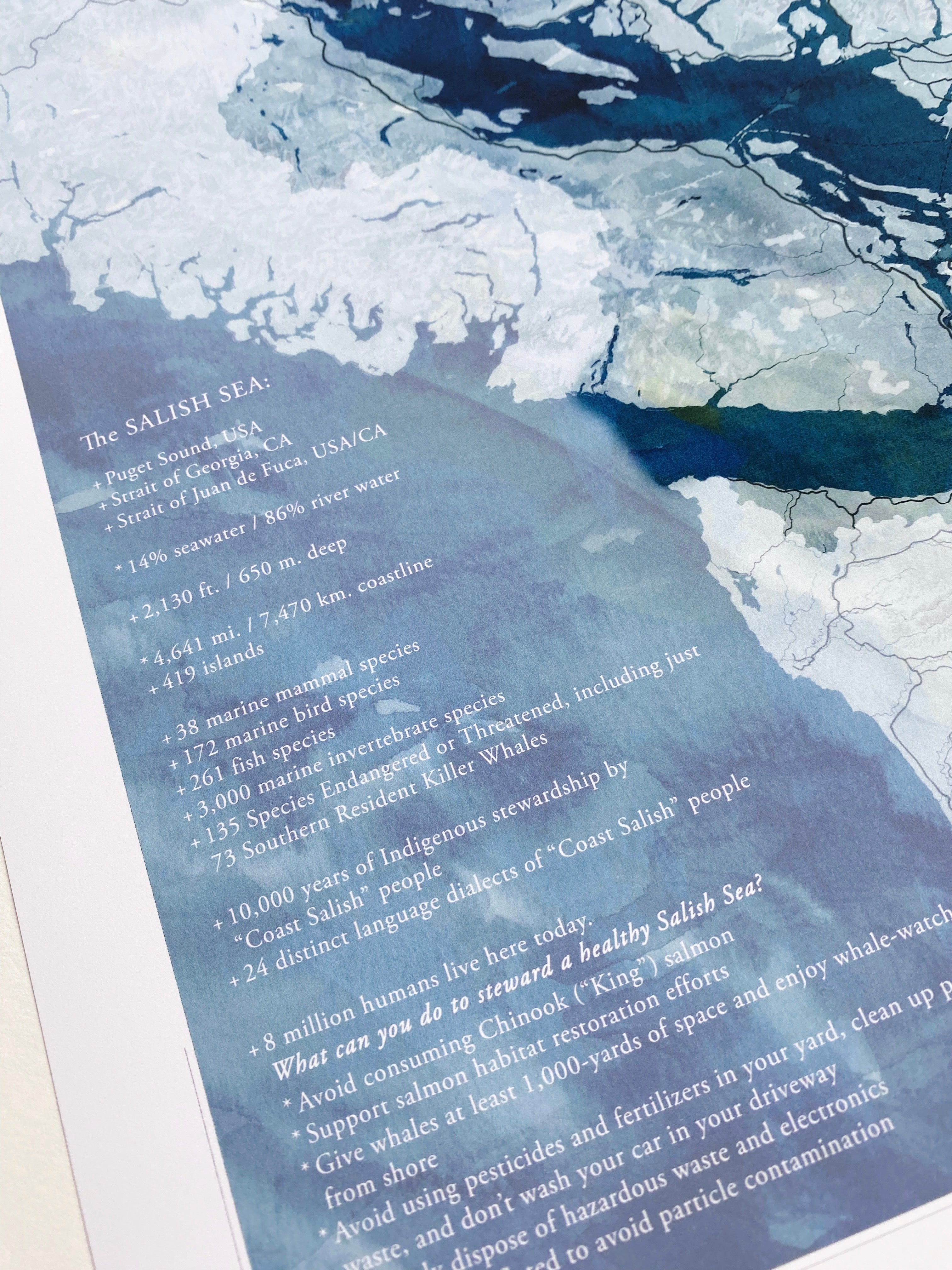 SALISH SEA Puget Sound Washington Strait of Georgia British Columbia Watercolor Map: PRINT