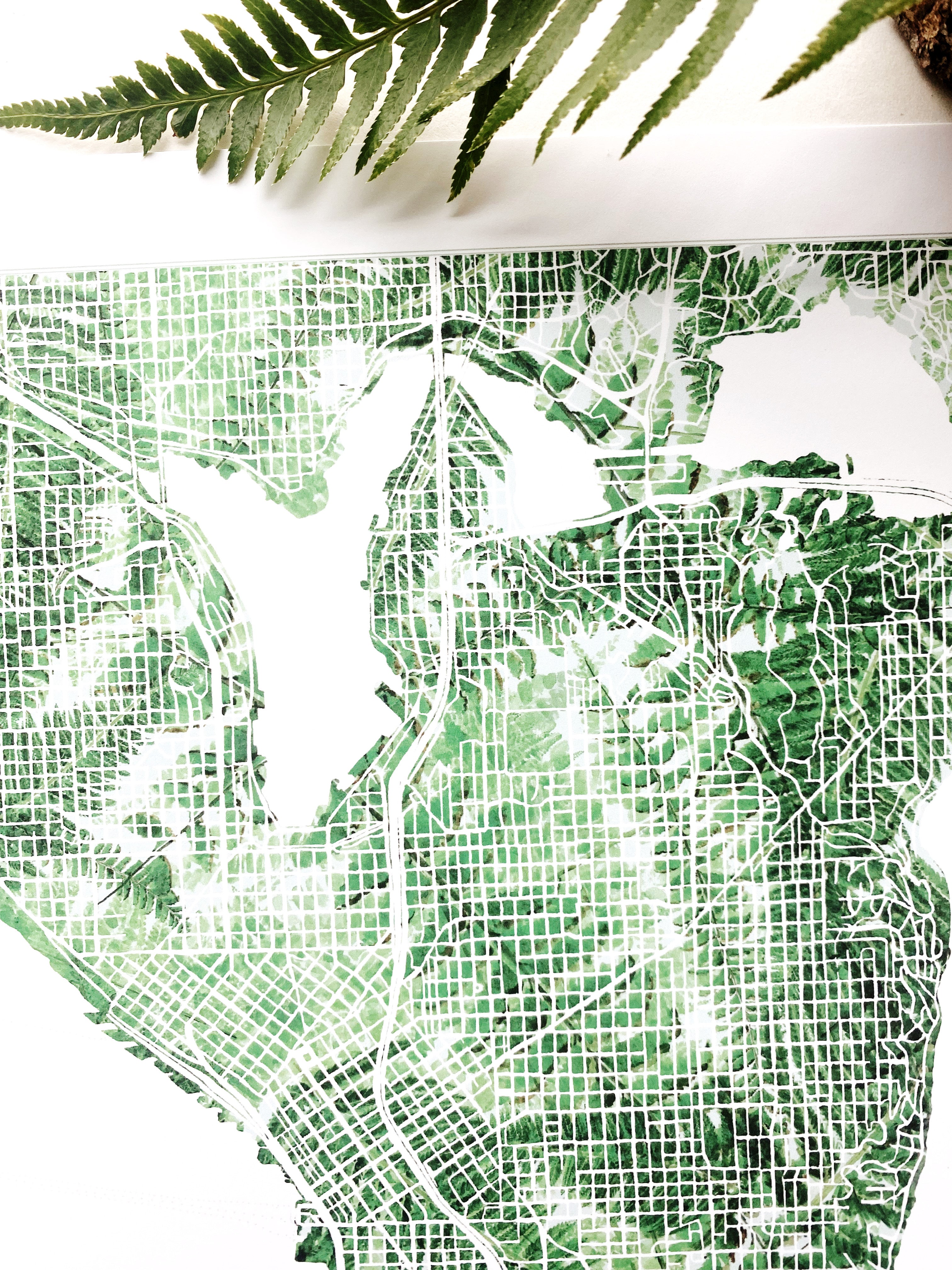 SEATTLE Washington Ferns Botanical Map: PRINT