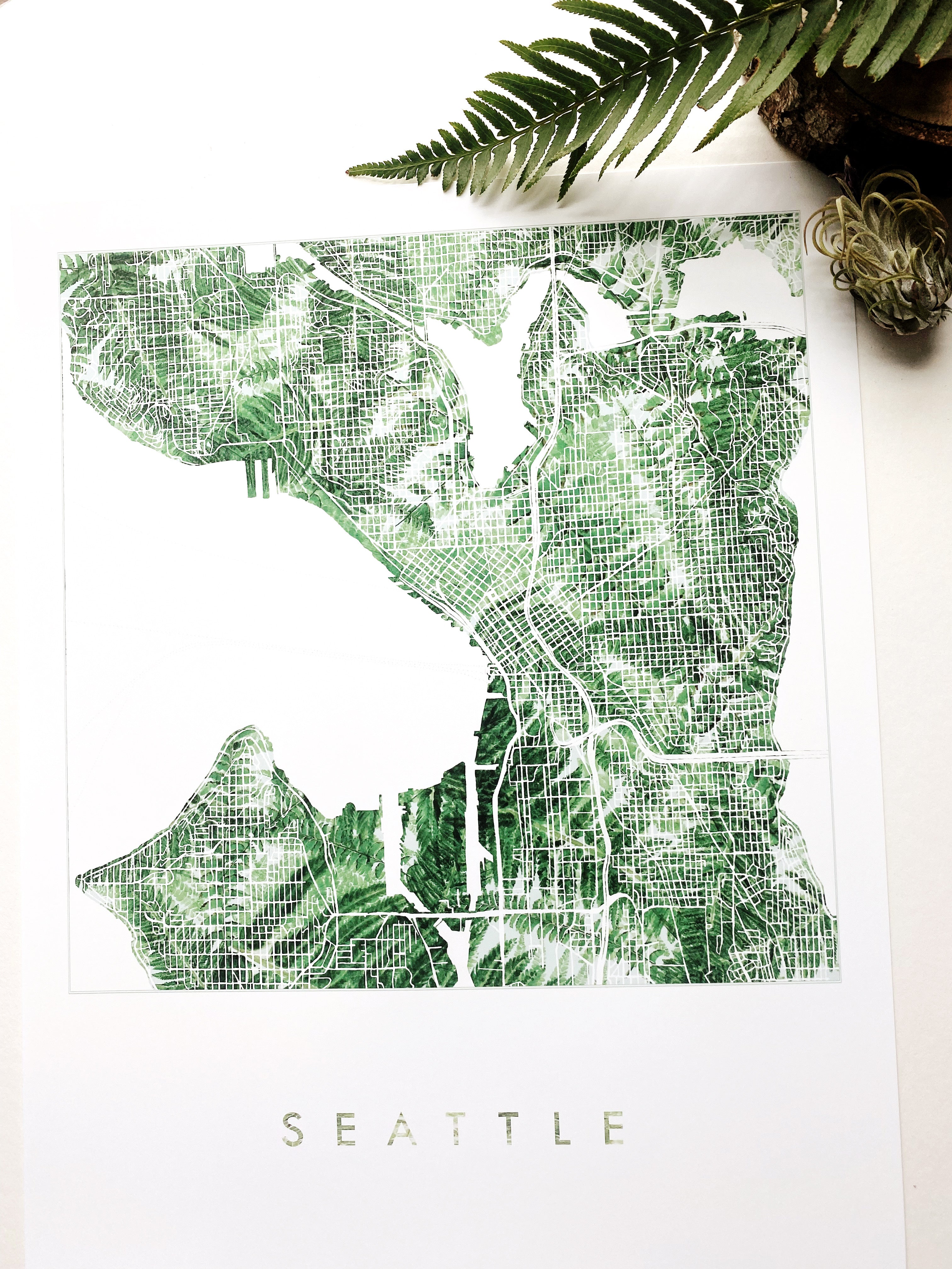 SEATTLE Washington Ferns Botanical Map: PRINT