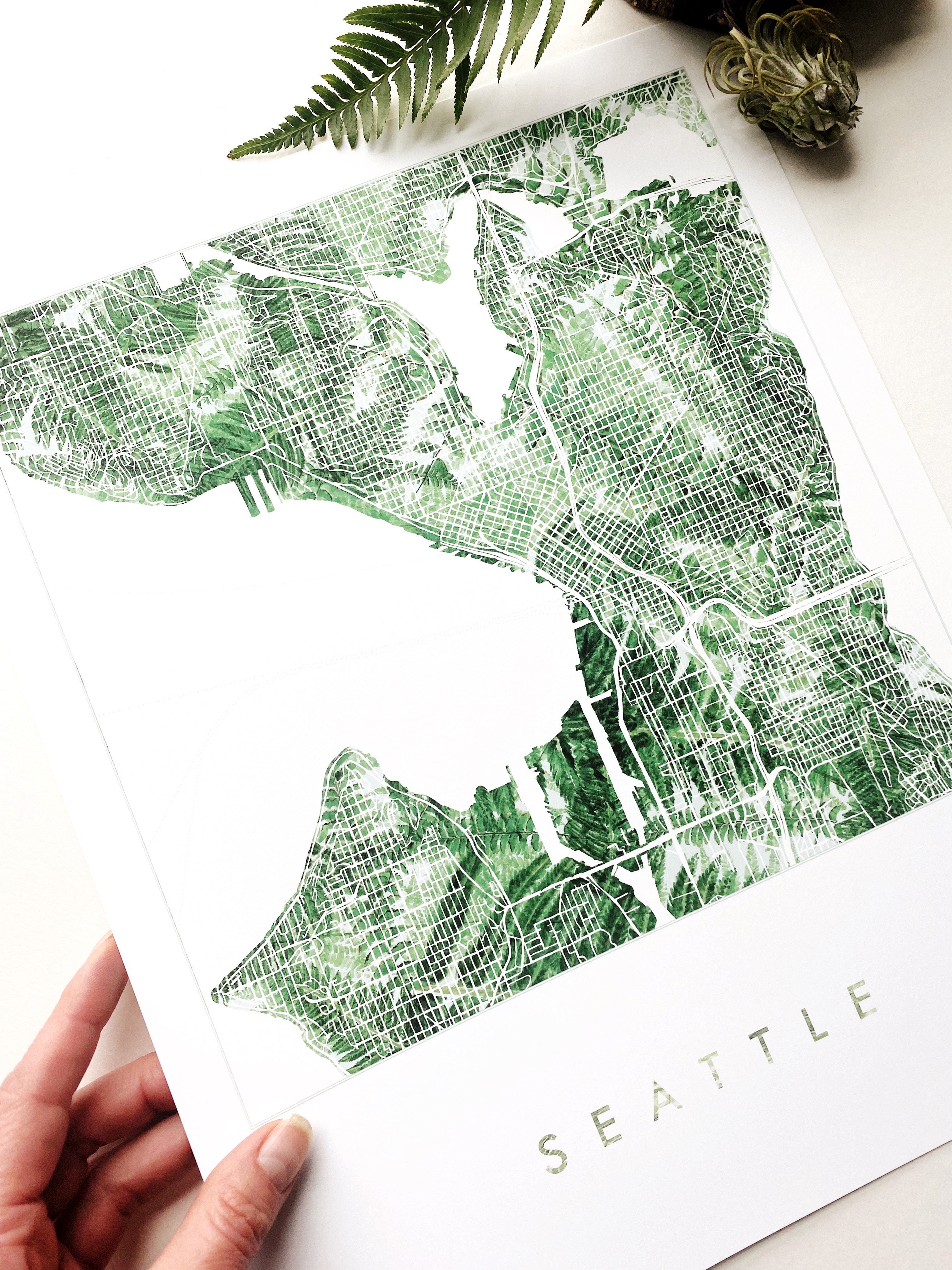 SEATTLE Washington Ferns Botanical Map: PRINT