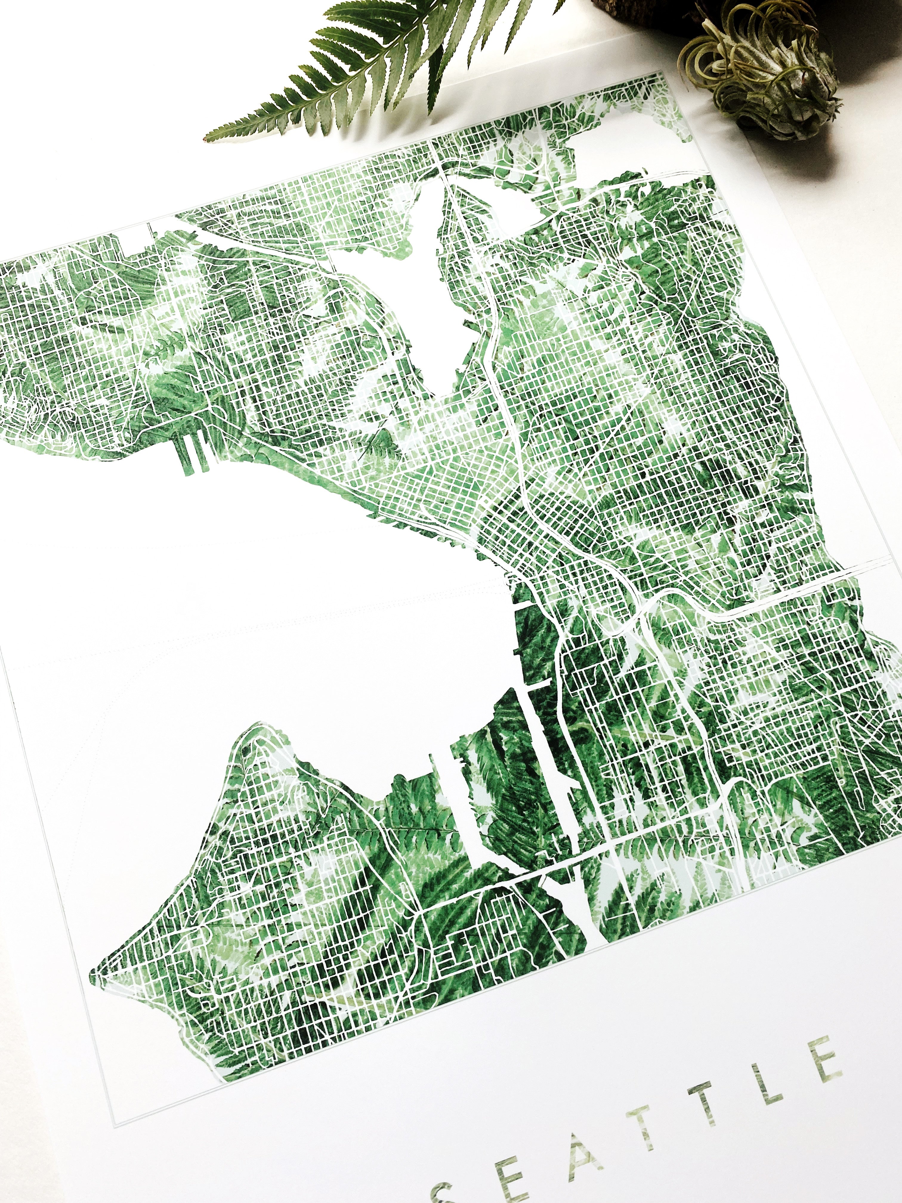 SEATTLE Washington Ferns Botanical Map: PRINT