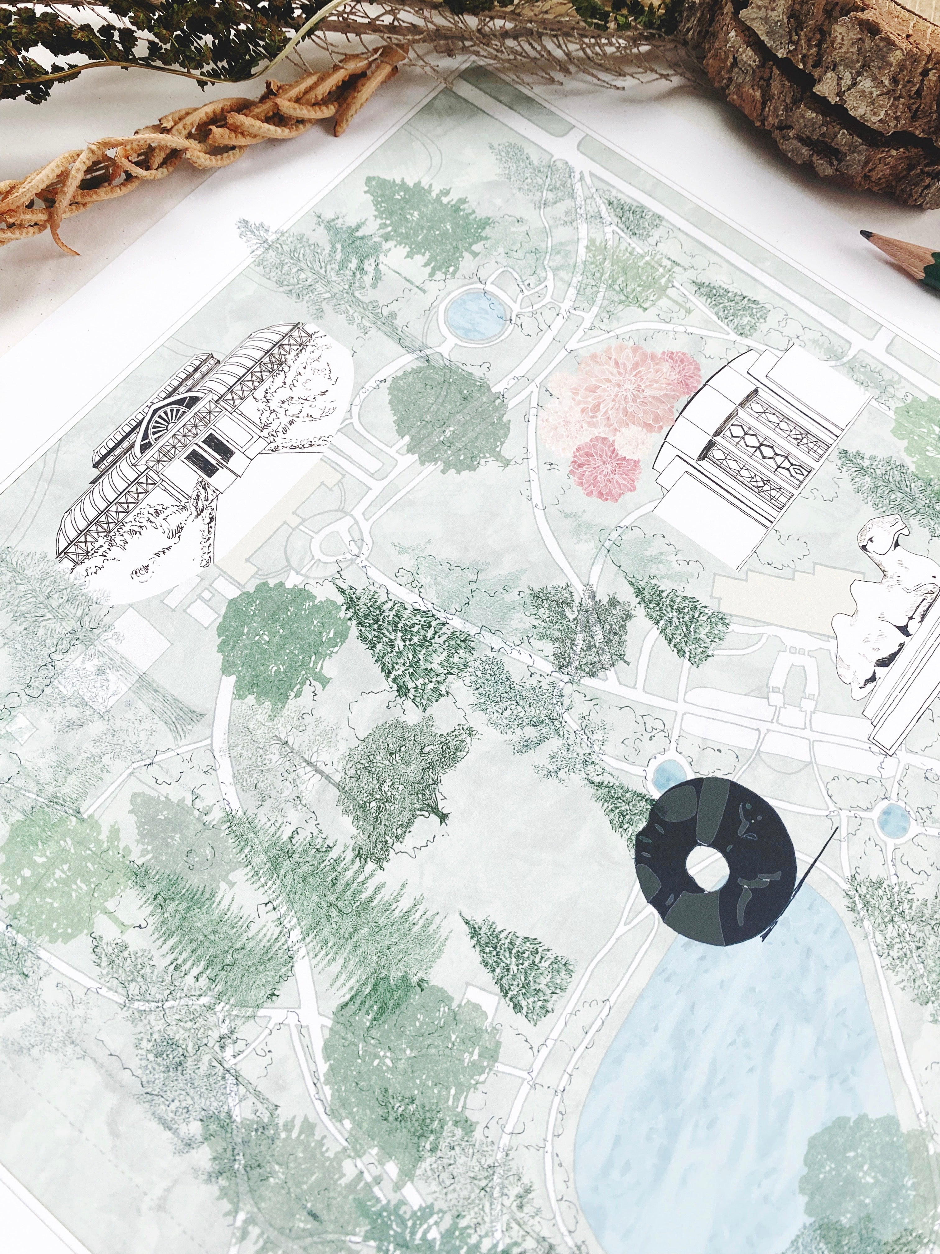 VOLUNTEER Park Art Map SEATTLE Washington: ART PRINT