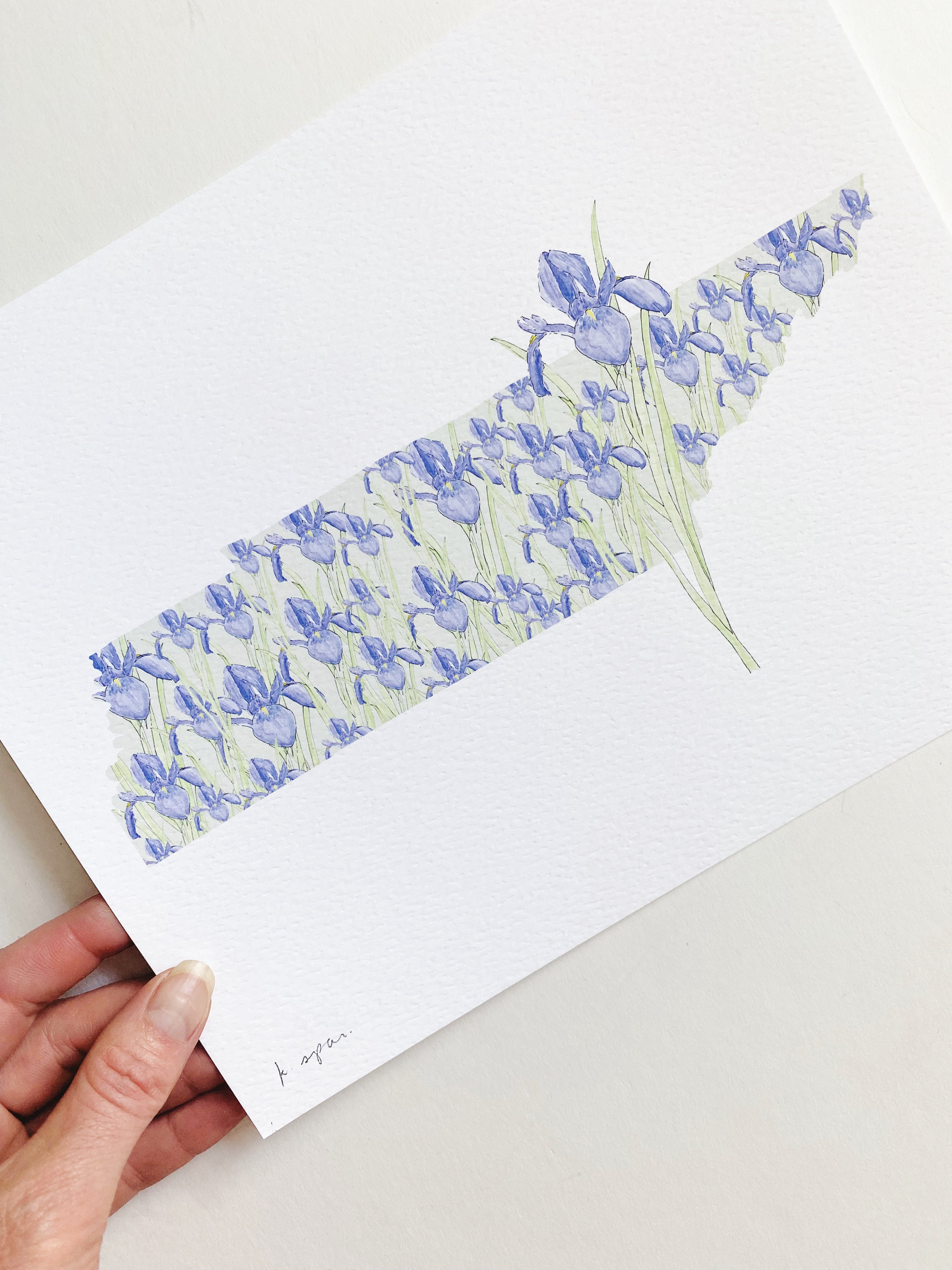 TENNESSEE State Flower Map: Iris: PRINT