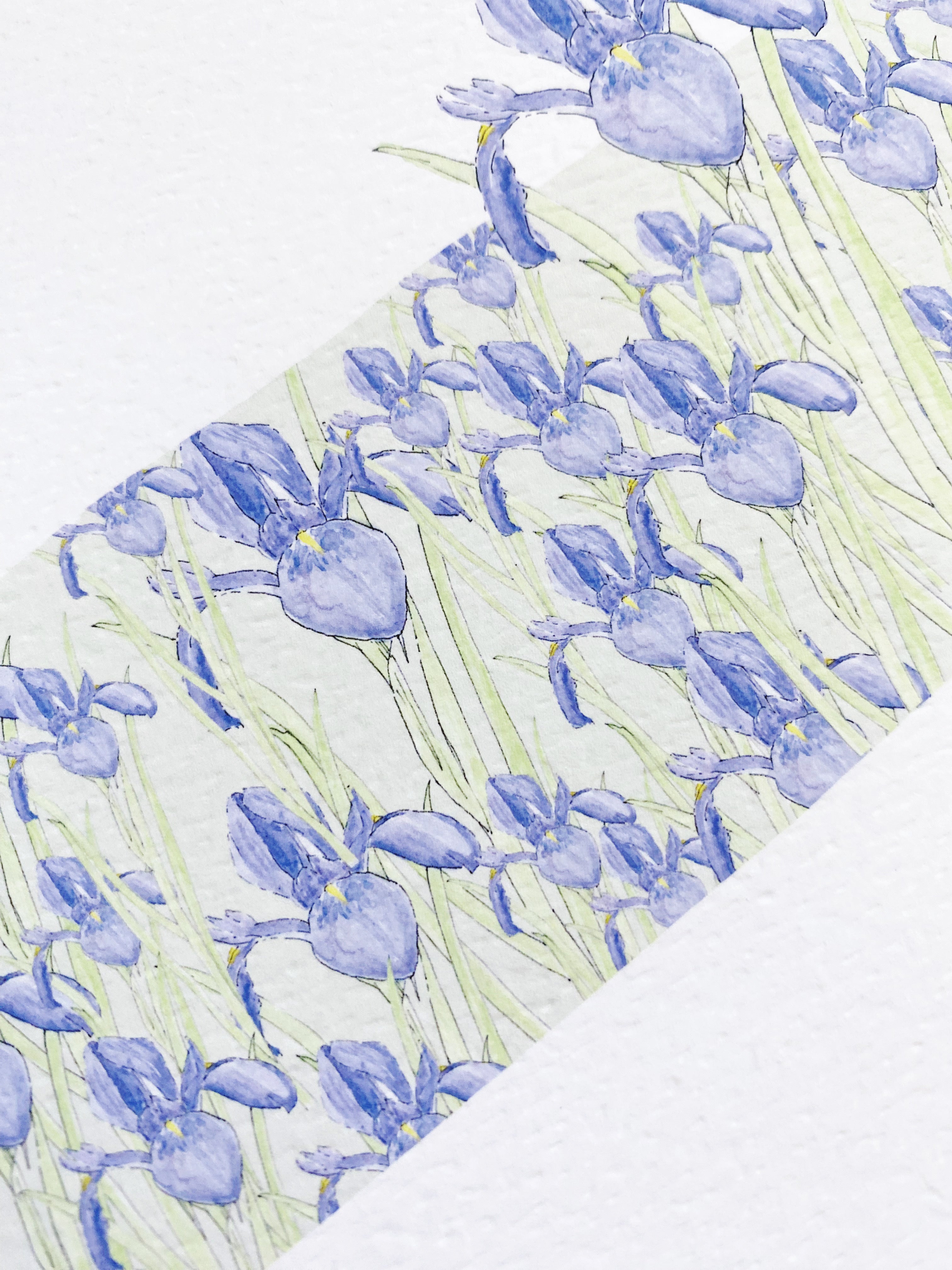 TENNESSEE State Flower Map: Iris: PRINT