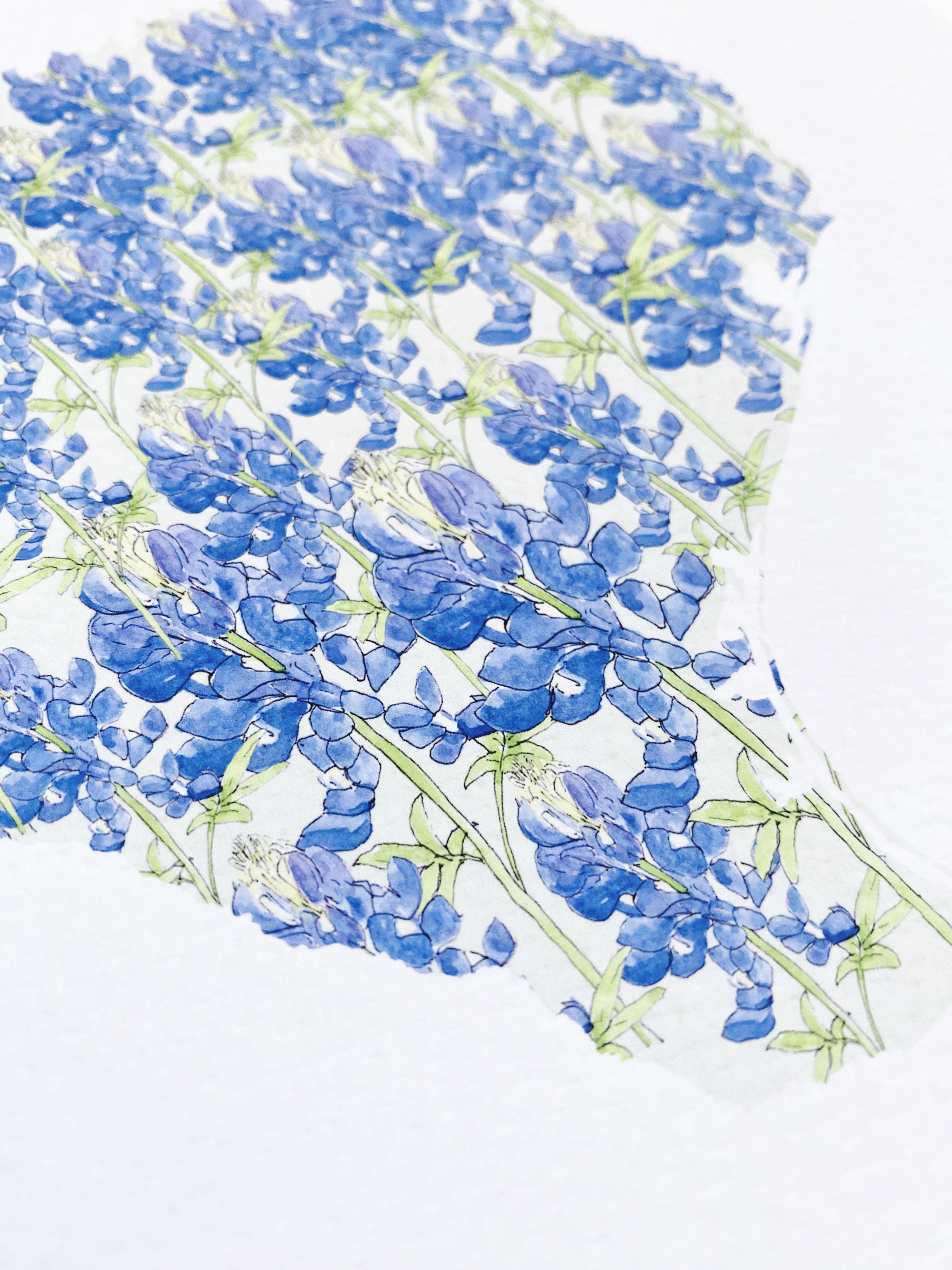 TEXAS State Flower Map: Bluebonnet: PRINT