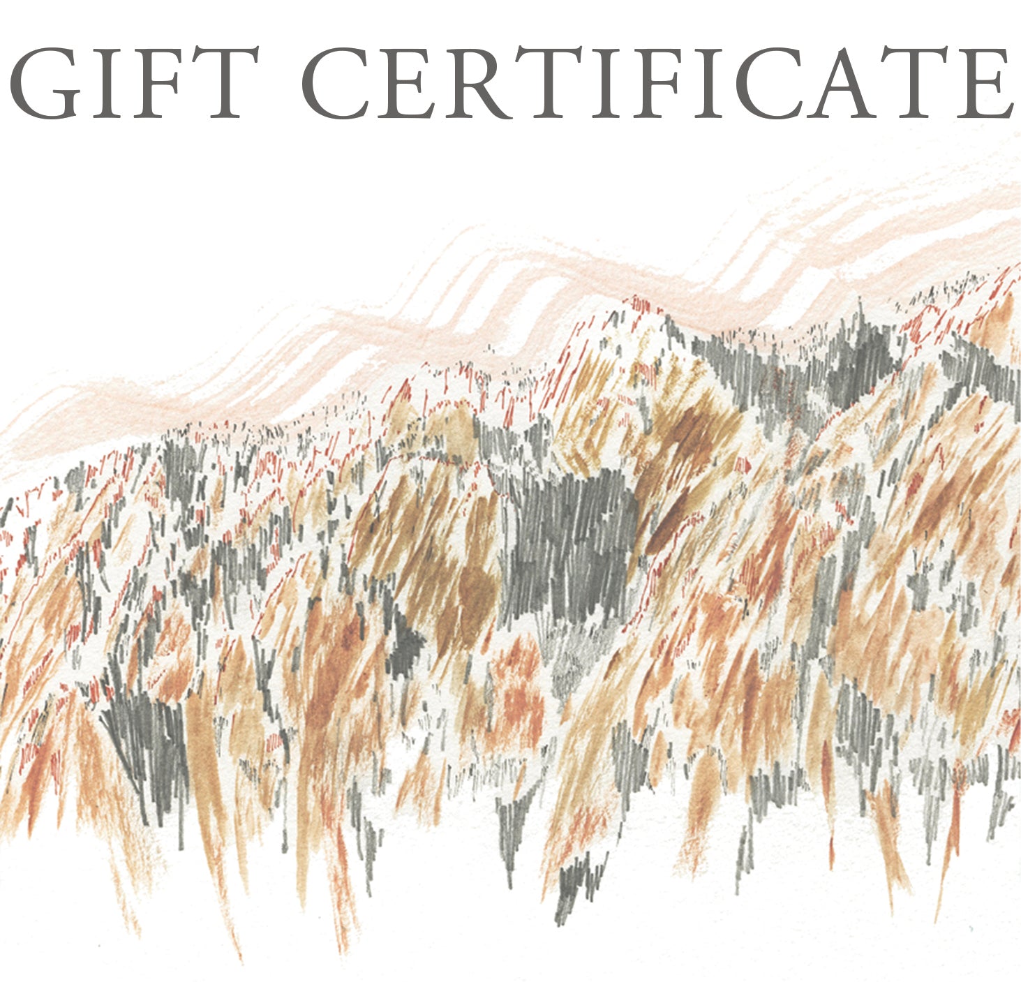 GIFT CERTIFICATE / GIFT CARD: Credit toward purchases at Turn-of-the-Centuries