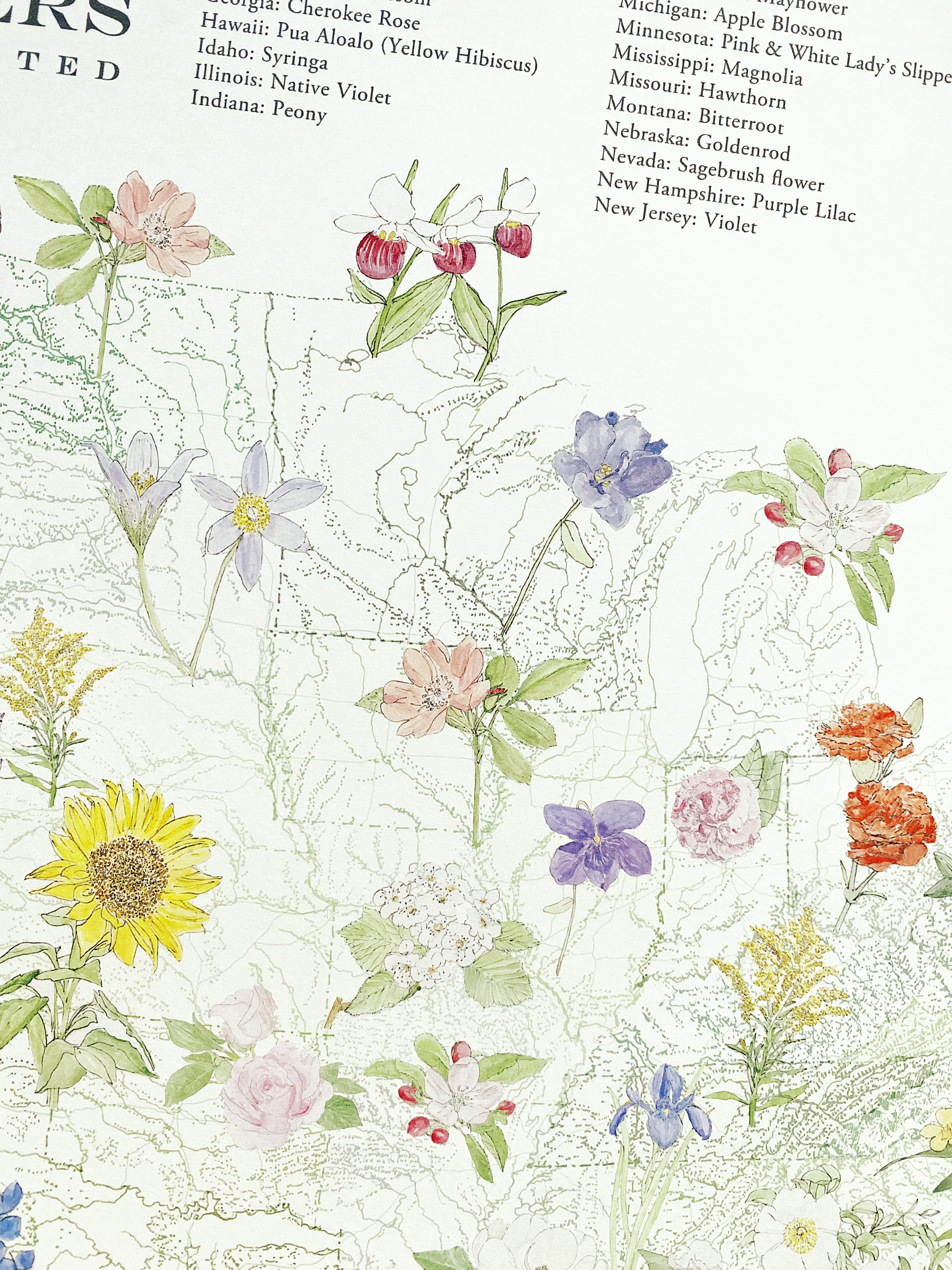STATE FLOWERscape Map Drawing: PRINT (all 50 - with key)