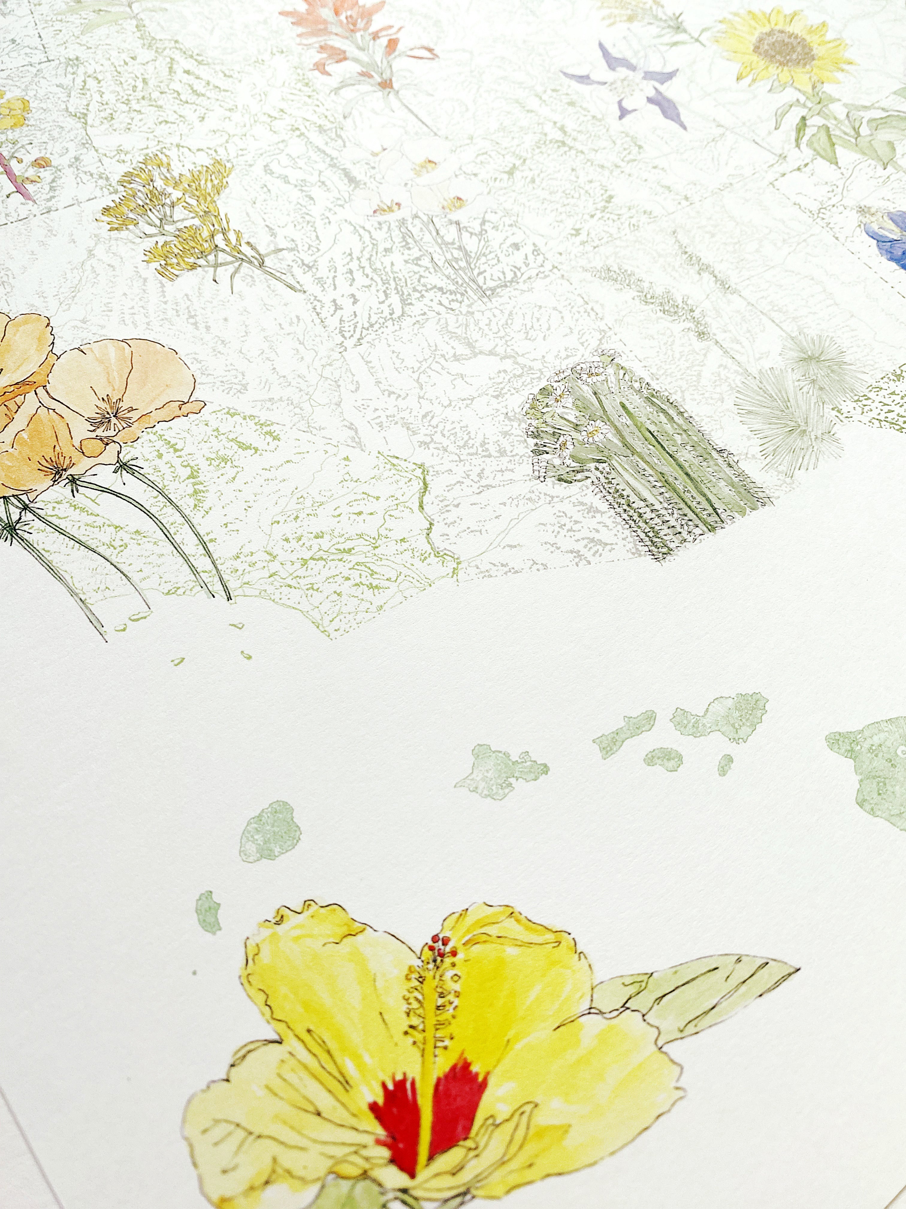 STATE FLOWERscape Map Drawing: PRINT (all 50 - with key)