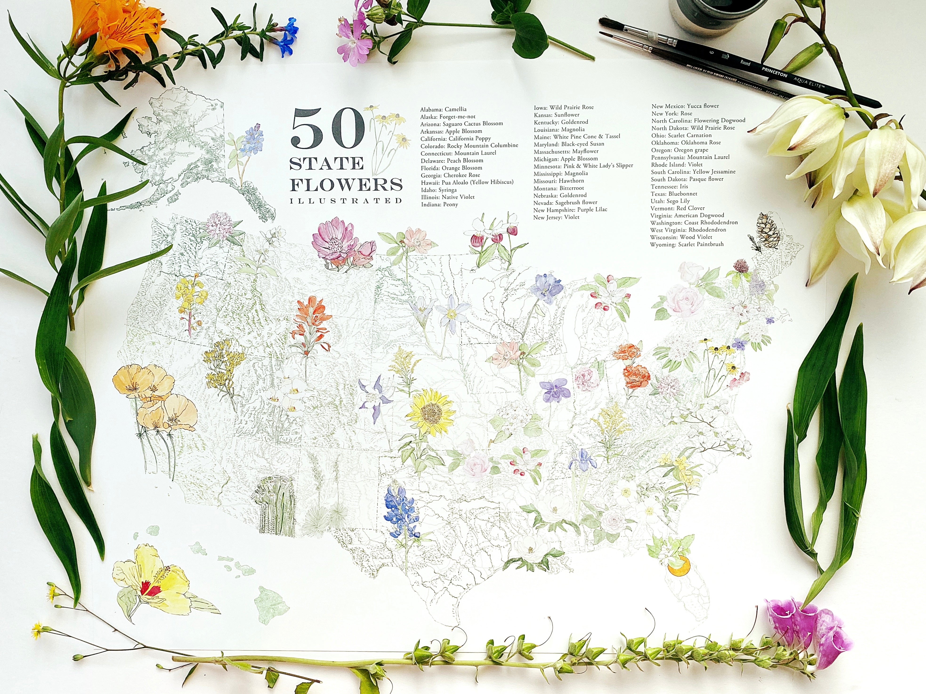 STATE FLOWERscape Map Drawing: PRINT (all 50 - with key)