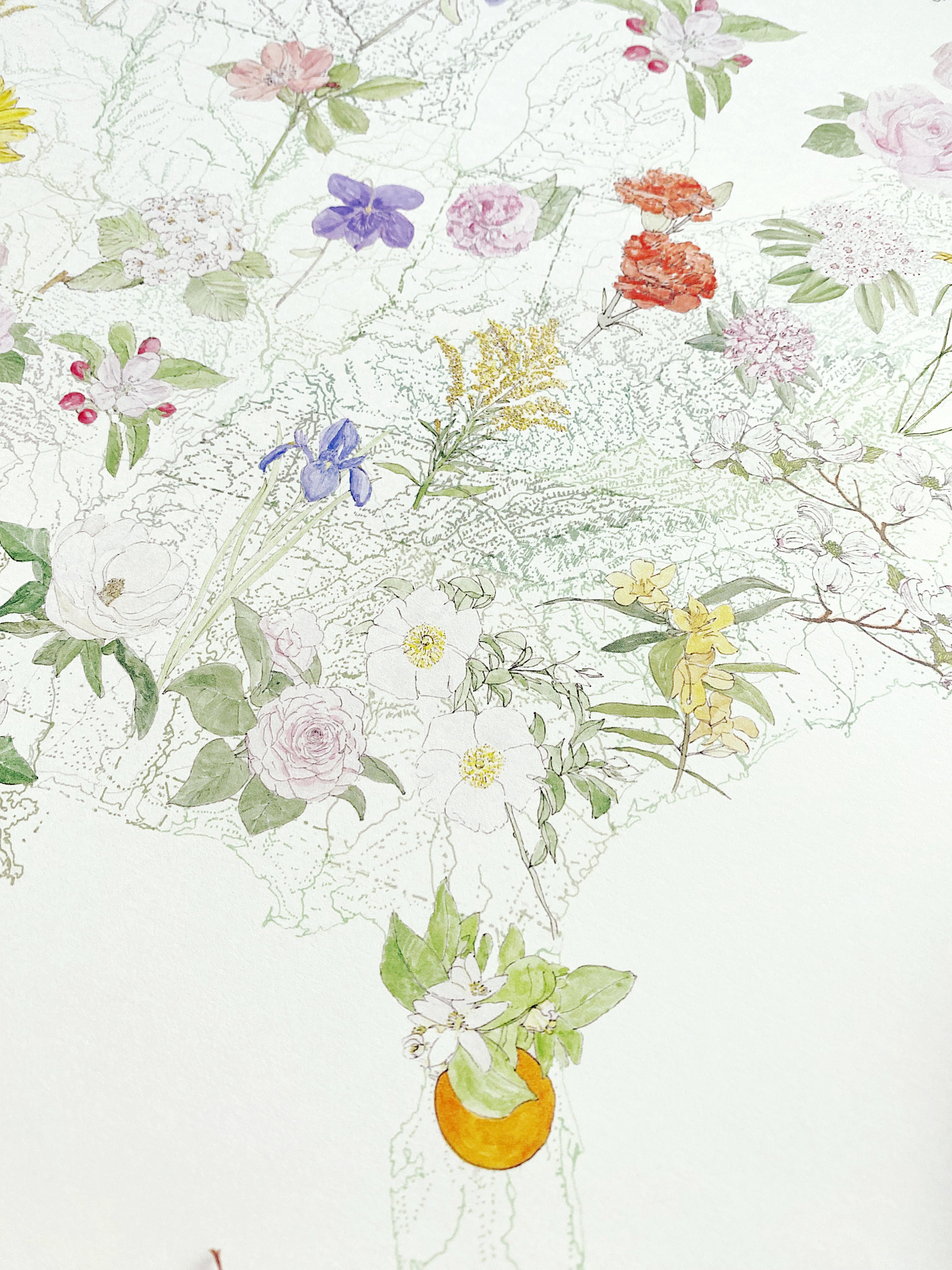 STATE FLOWERscape Map Drawing: PRINT (all 50 - with key)