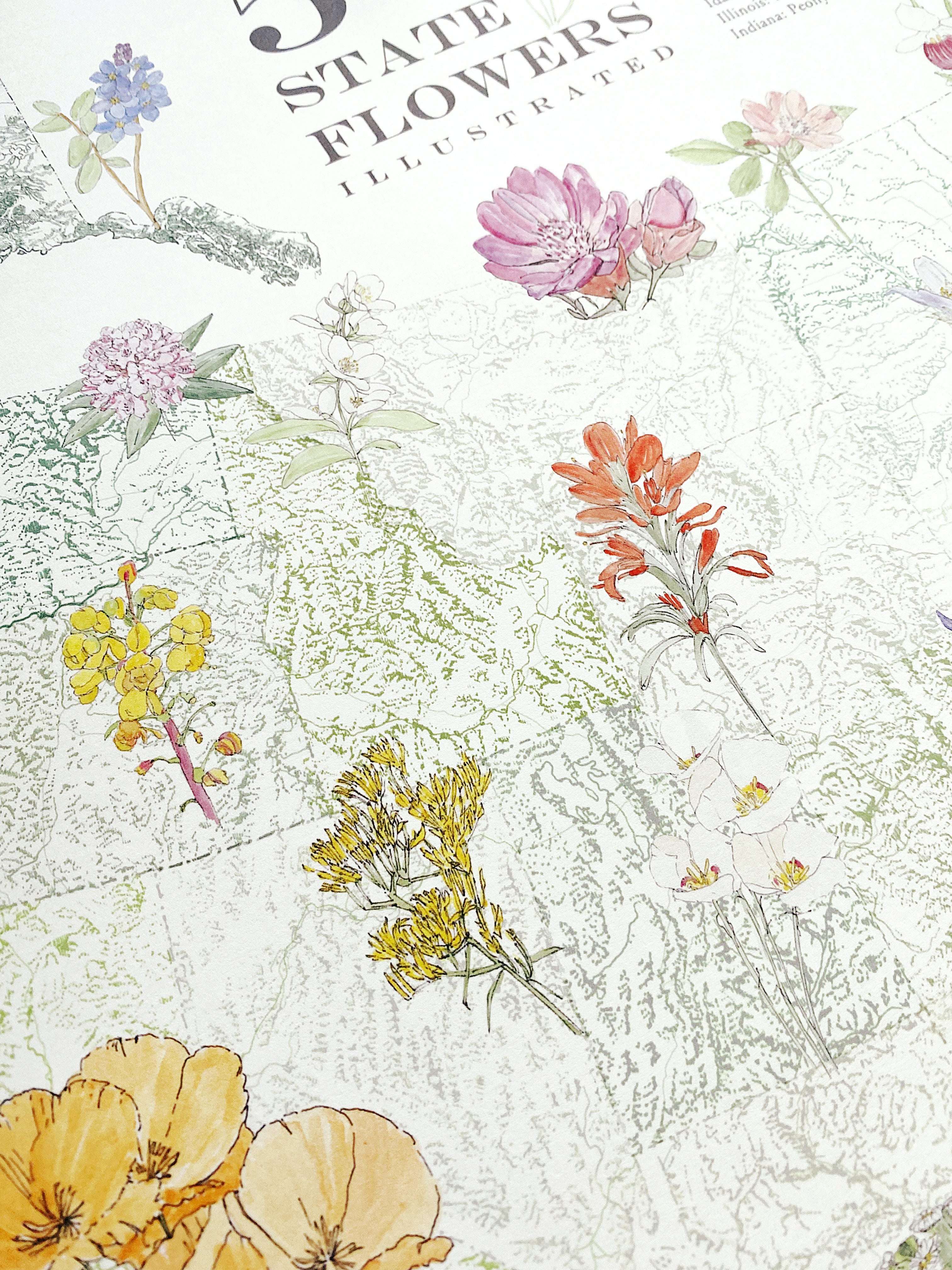 STATE FLOWERscape Map Drawing: PRINT (all 50 - with key)