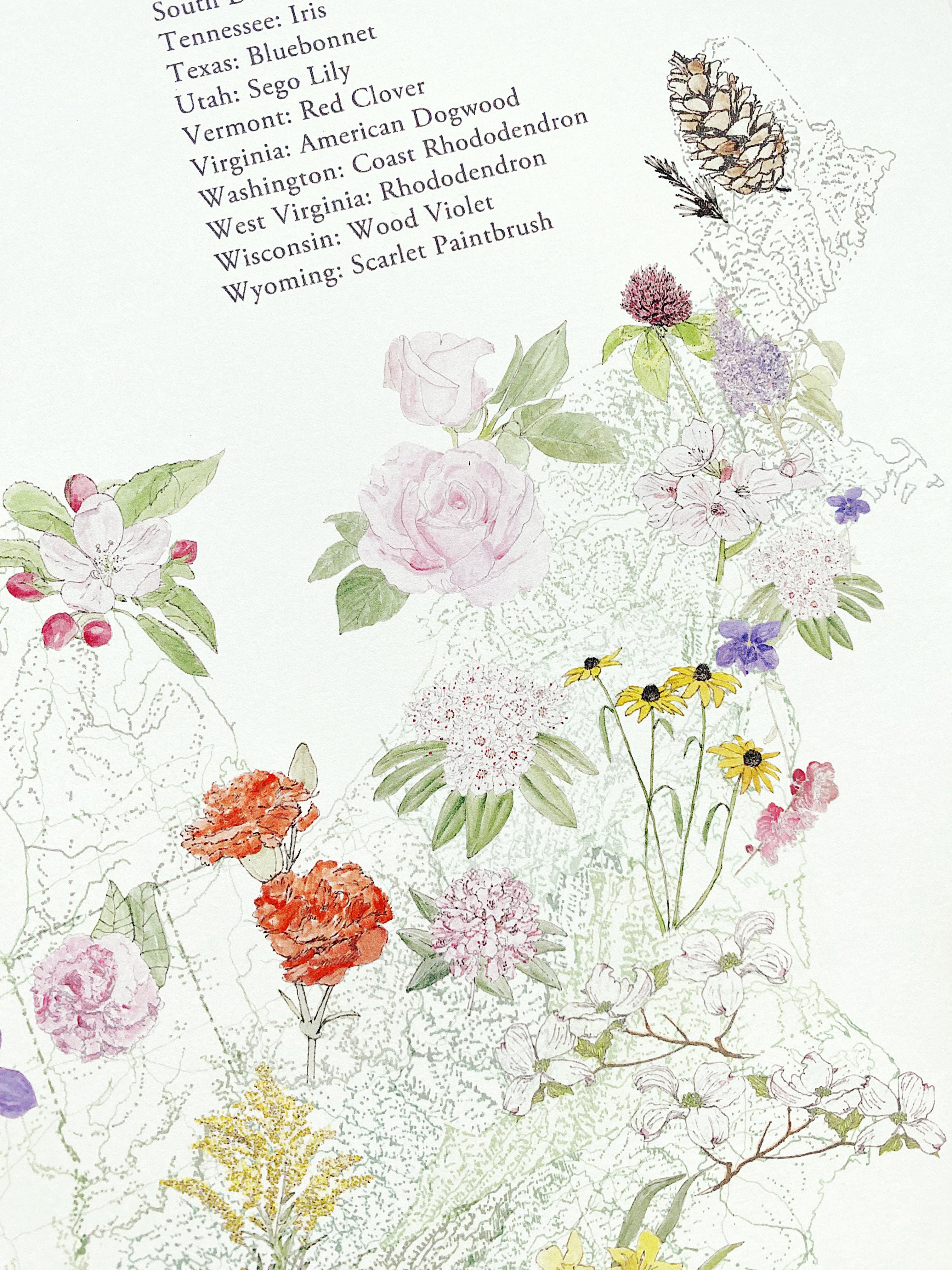 STATE FLOWERscape Map Drawing: PRINT (all 50 - with key)