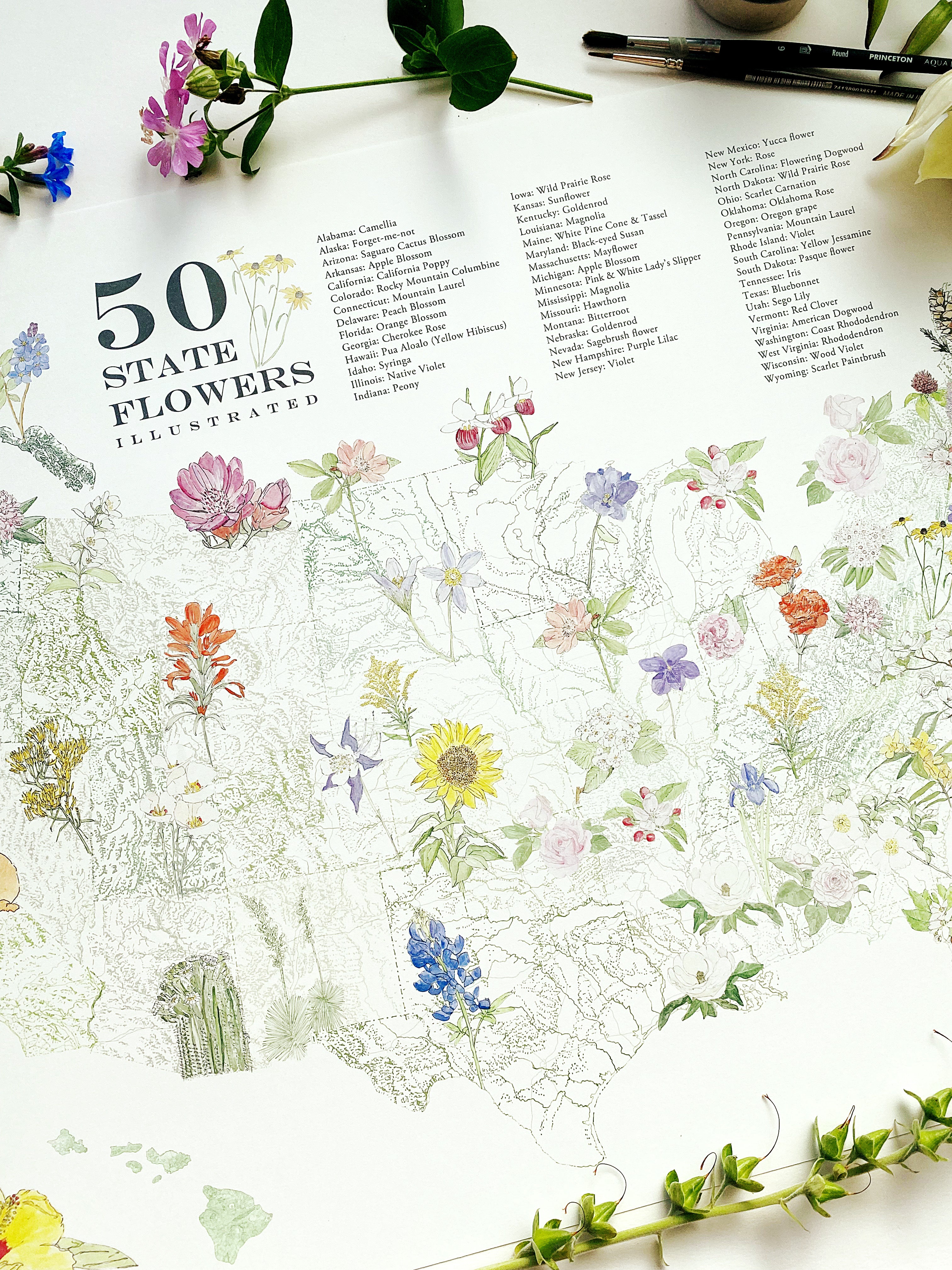 STATE FLOWERscape Map Drawing: PRINT (all 50 - with key)