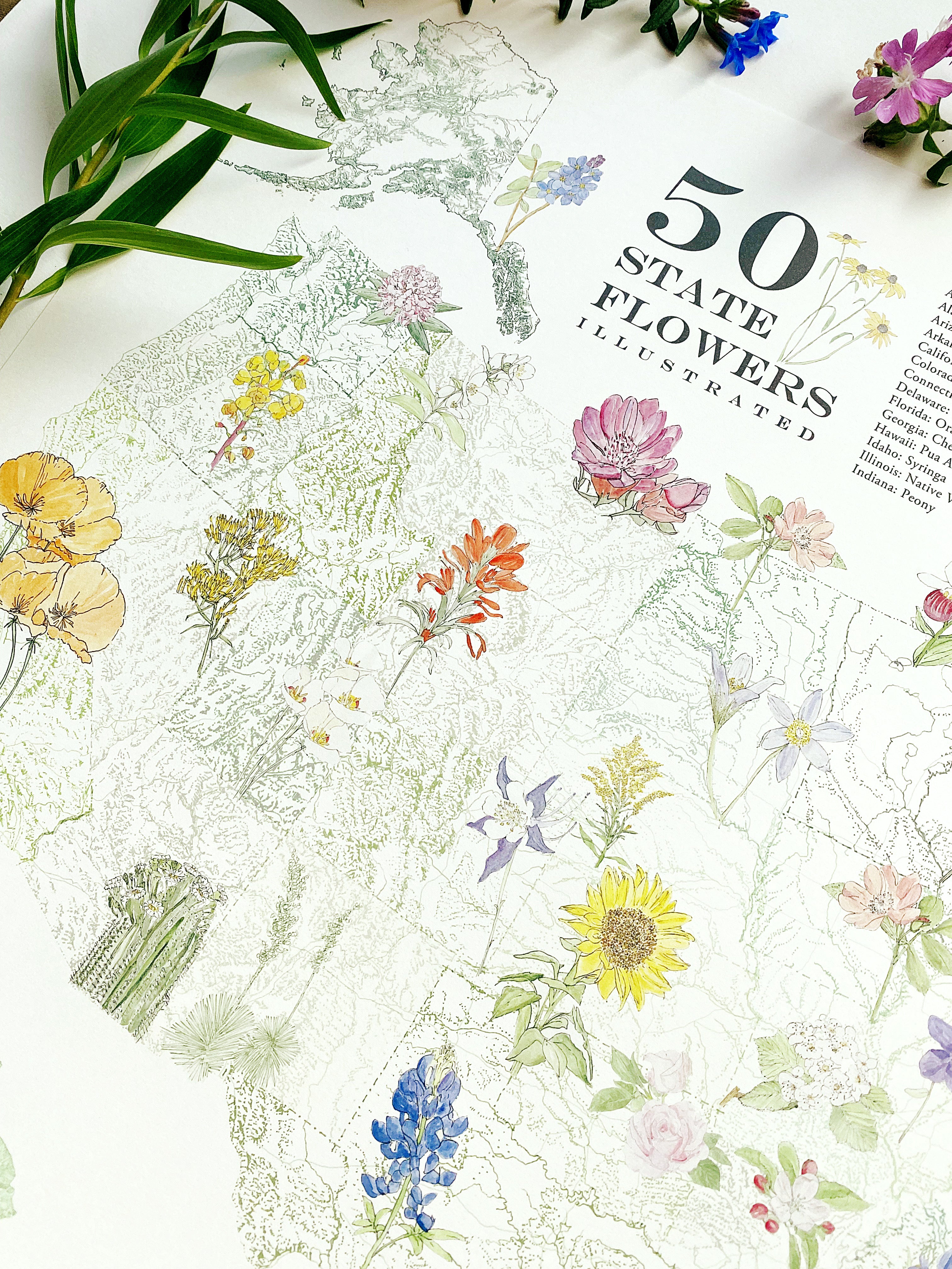 STATE FLOWERscape Map Drawing: PRINT (all 50 - with key)