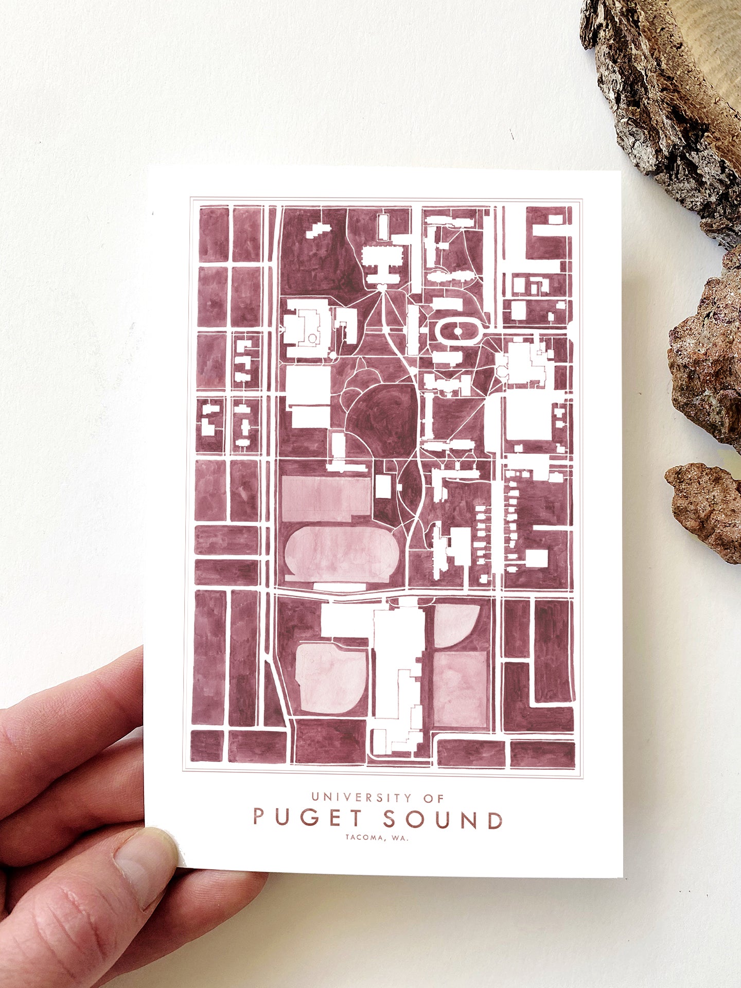 University of Puget Sound UPS Tacoma Washington Campus Map Postcard