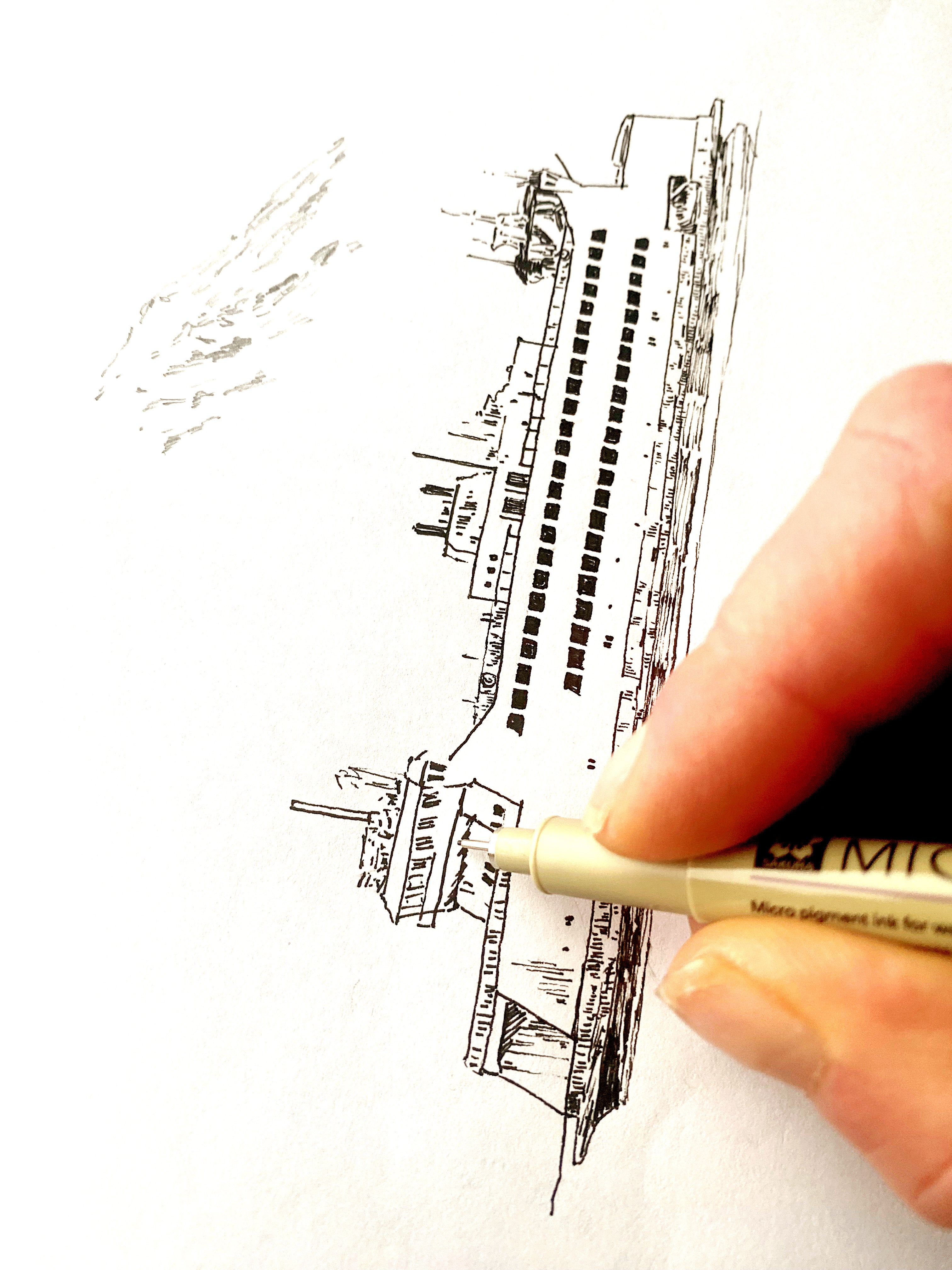 VASHON + MAURY Washington Trees Ferry Map - Standard Postcard