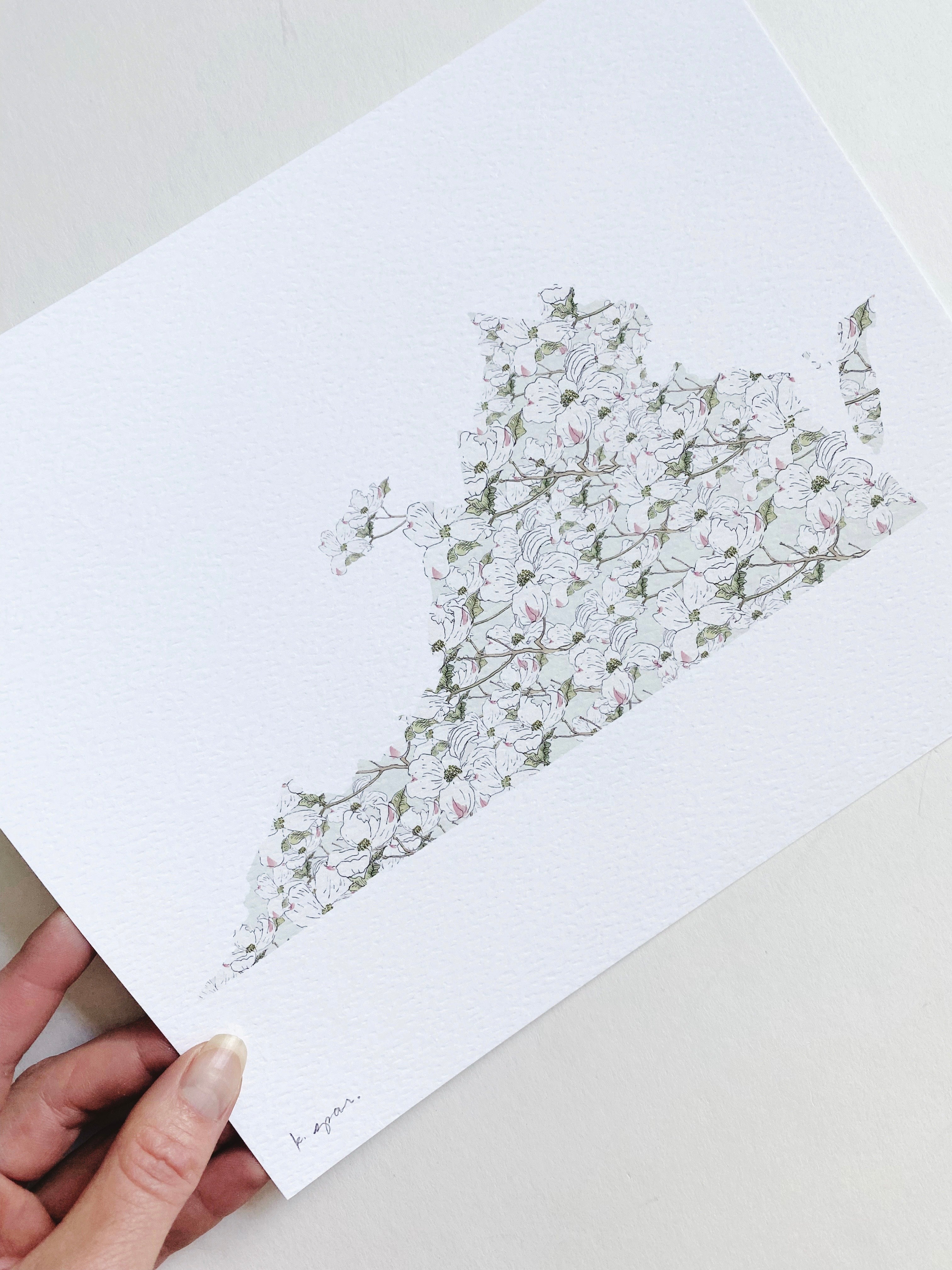 VIRGINIA State Flower Map: American Dogwood: PRINT
