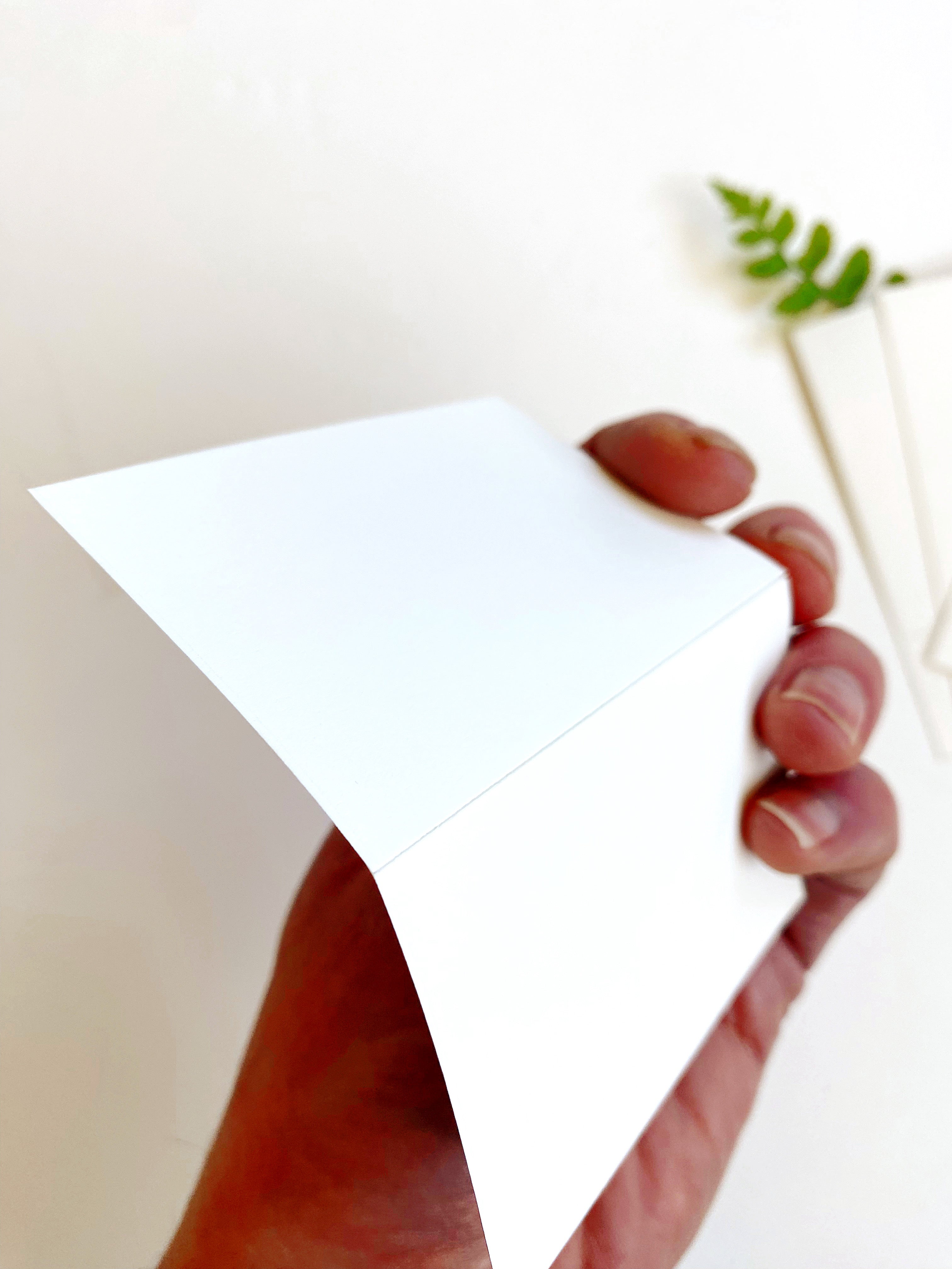 WEST SEATTLE Washington Ferns Map Sticker