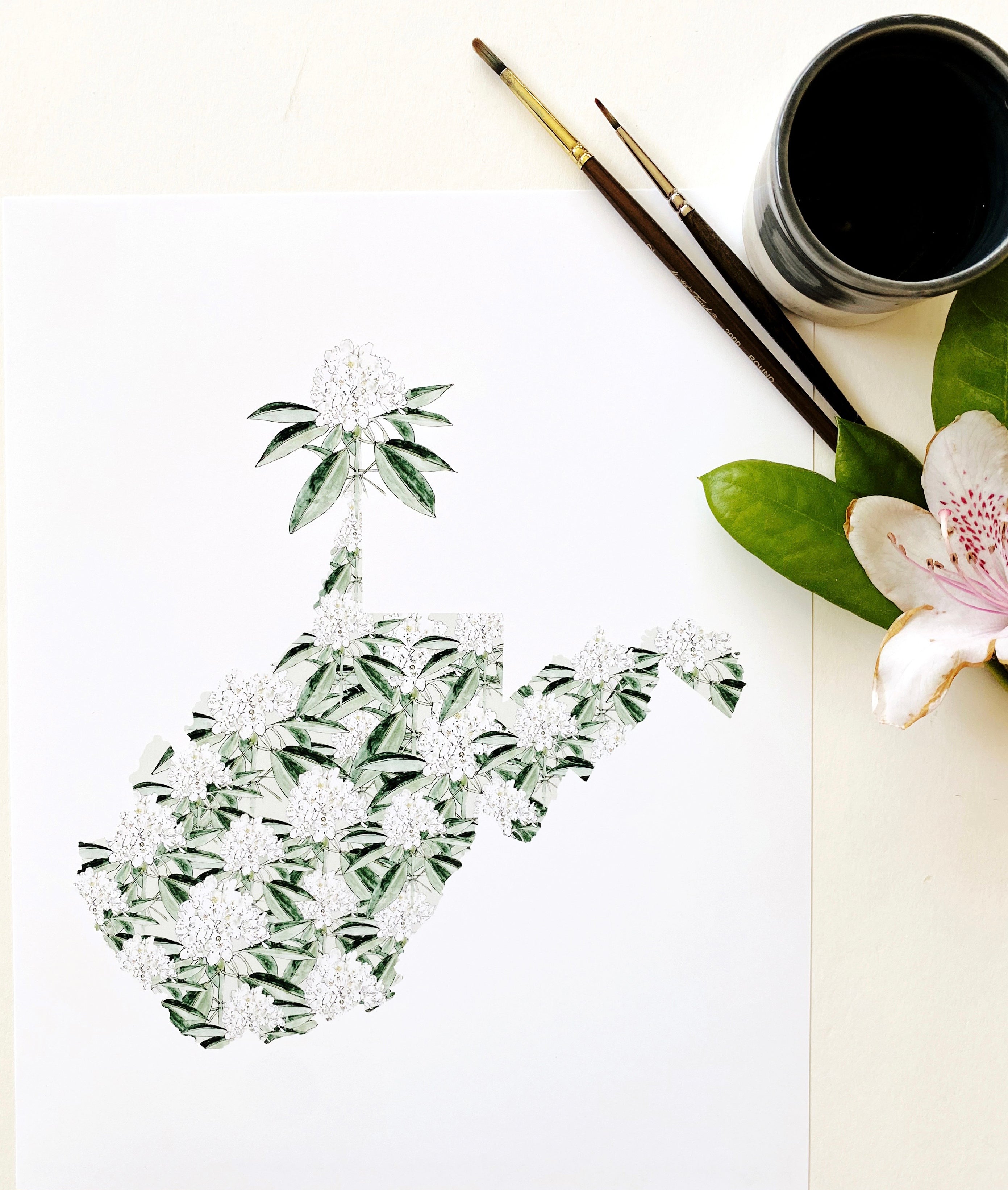 WEST VIRGINIA State Flower Map: Rhododendron: PRINT