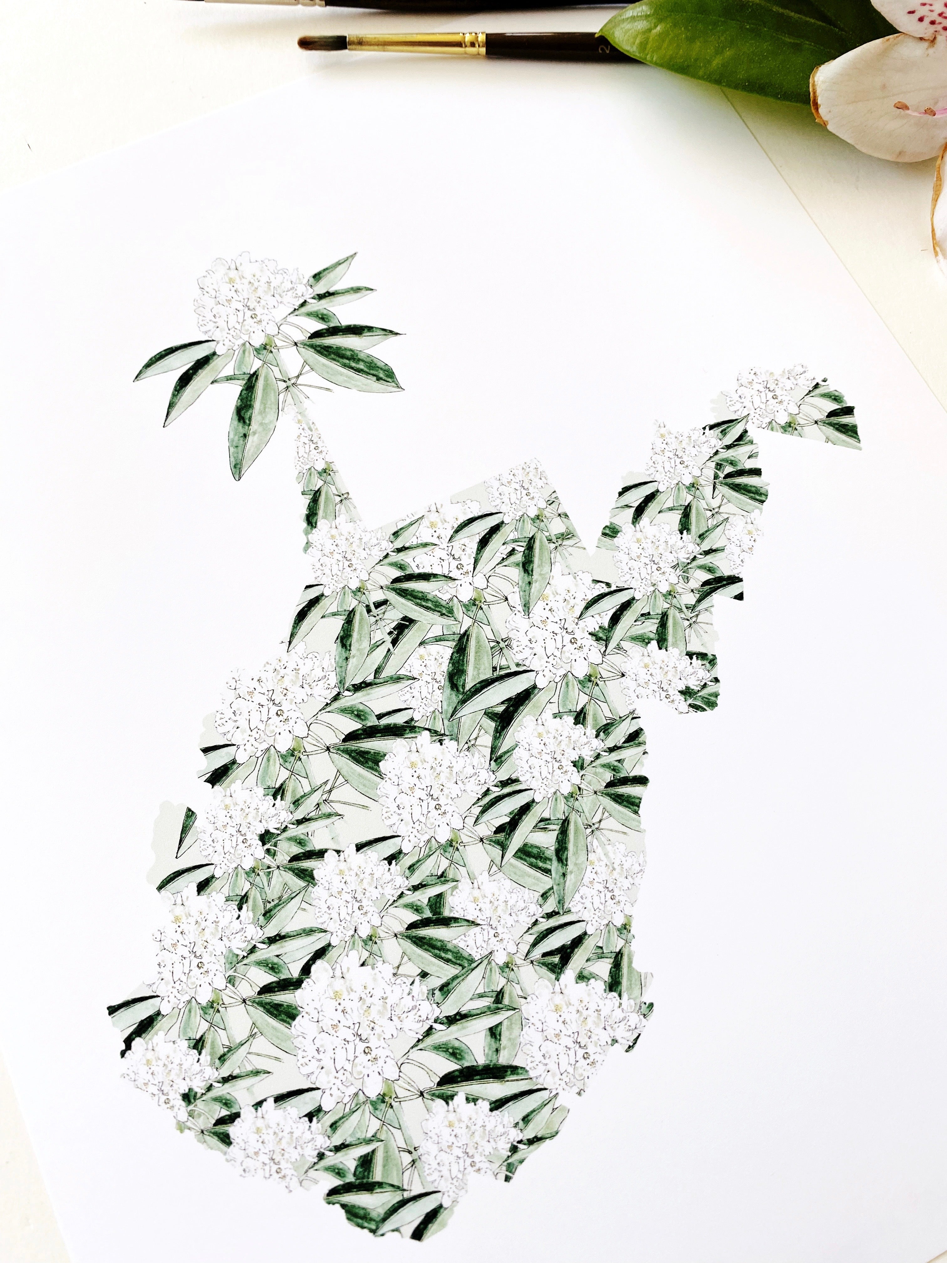 WEST VIRGINIA State Flower Map: Rhododendron: PRINT