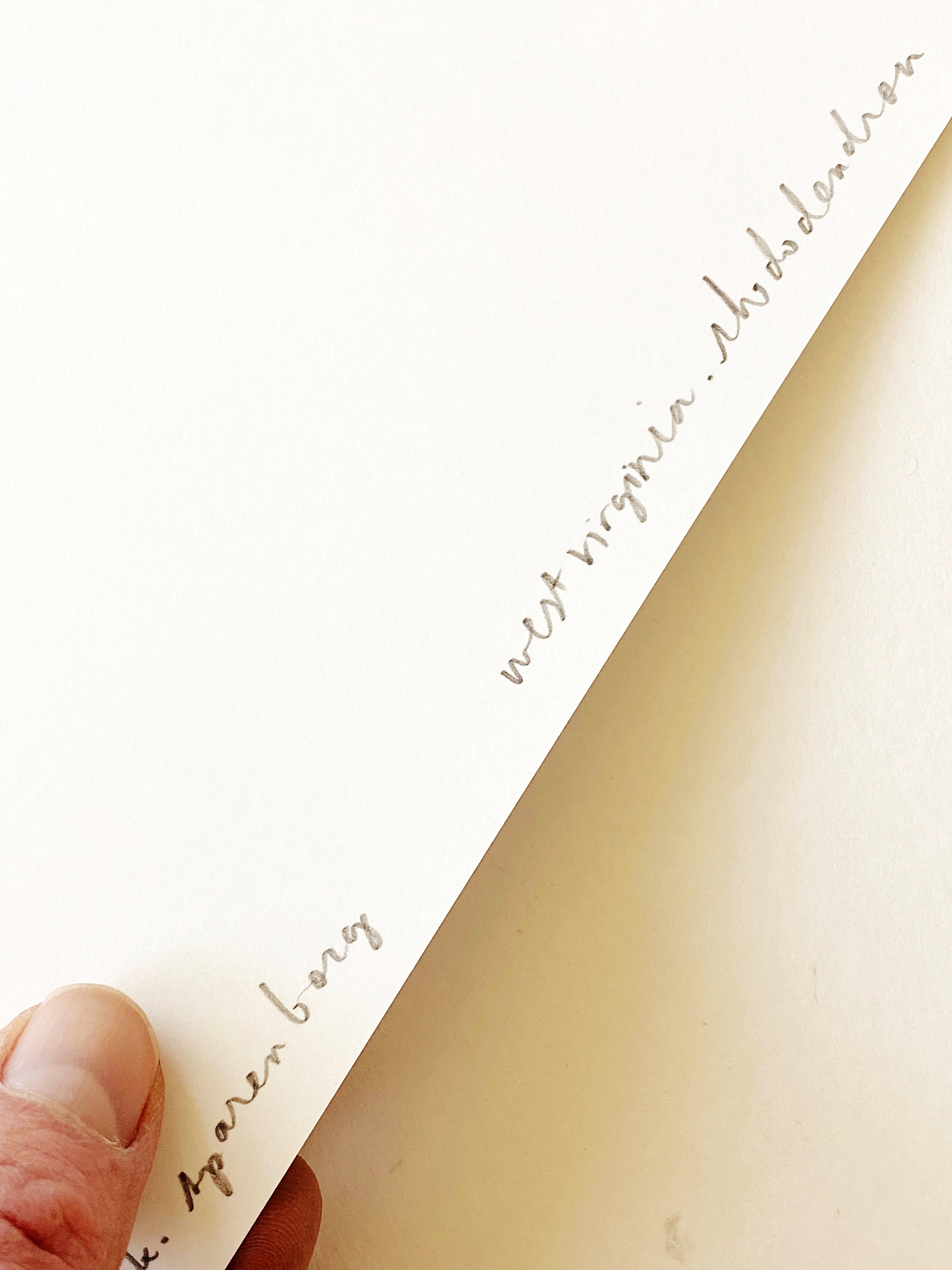 WEST VIRGINIA State Flower Map: Rhododendron: PRINT