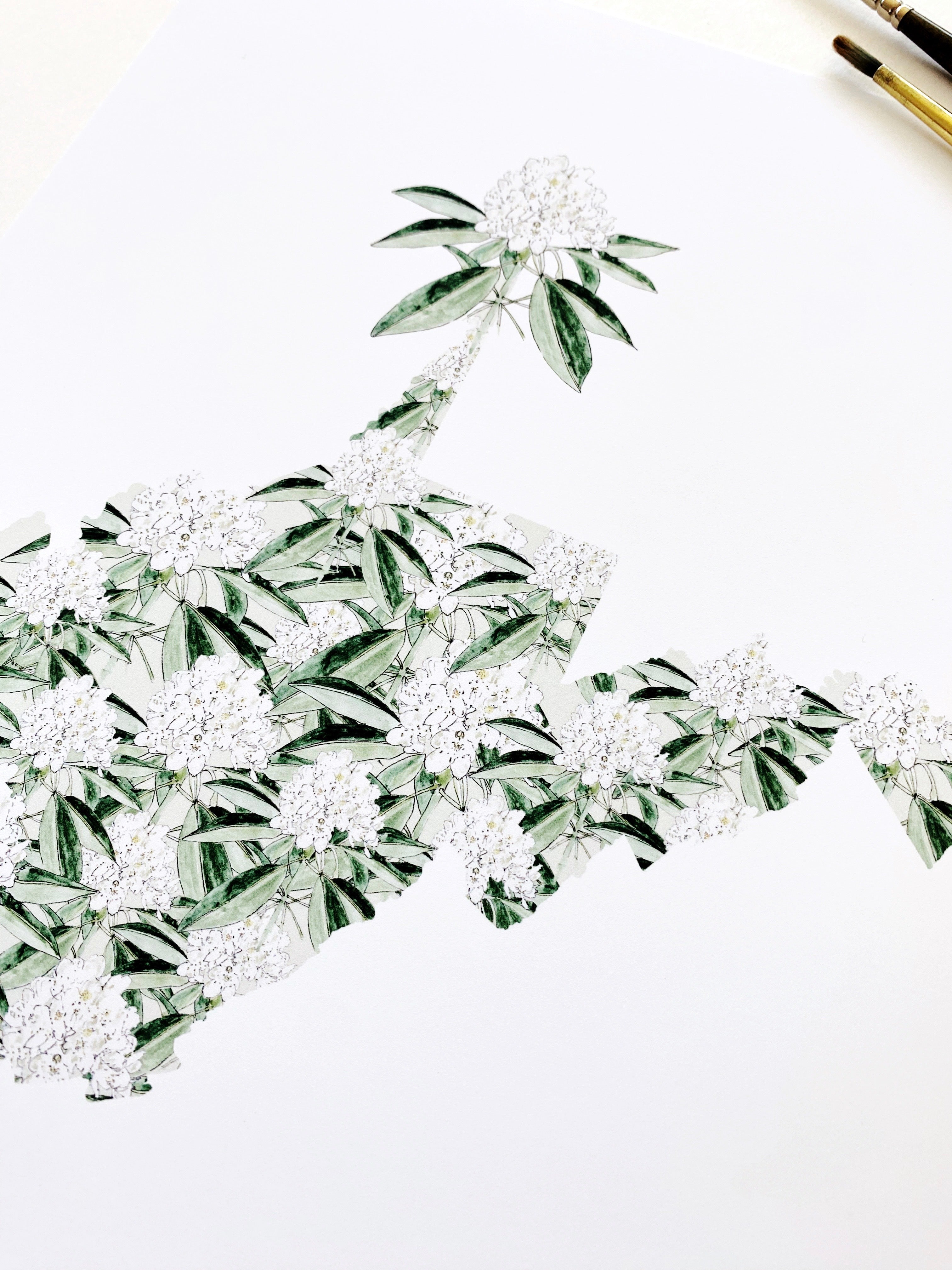 WEST VIRGINIA State Flower Map: Rhododendron: PRINT