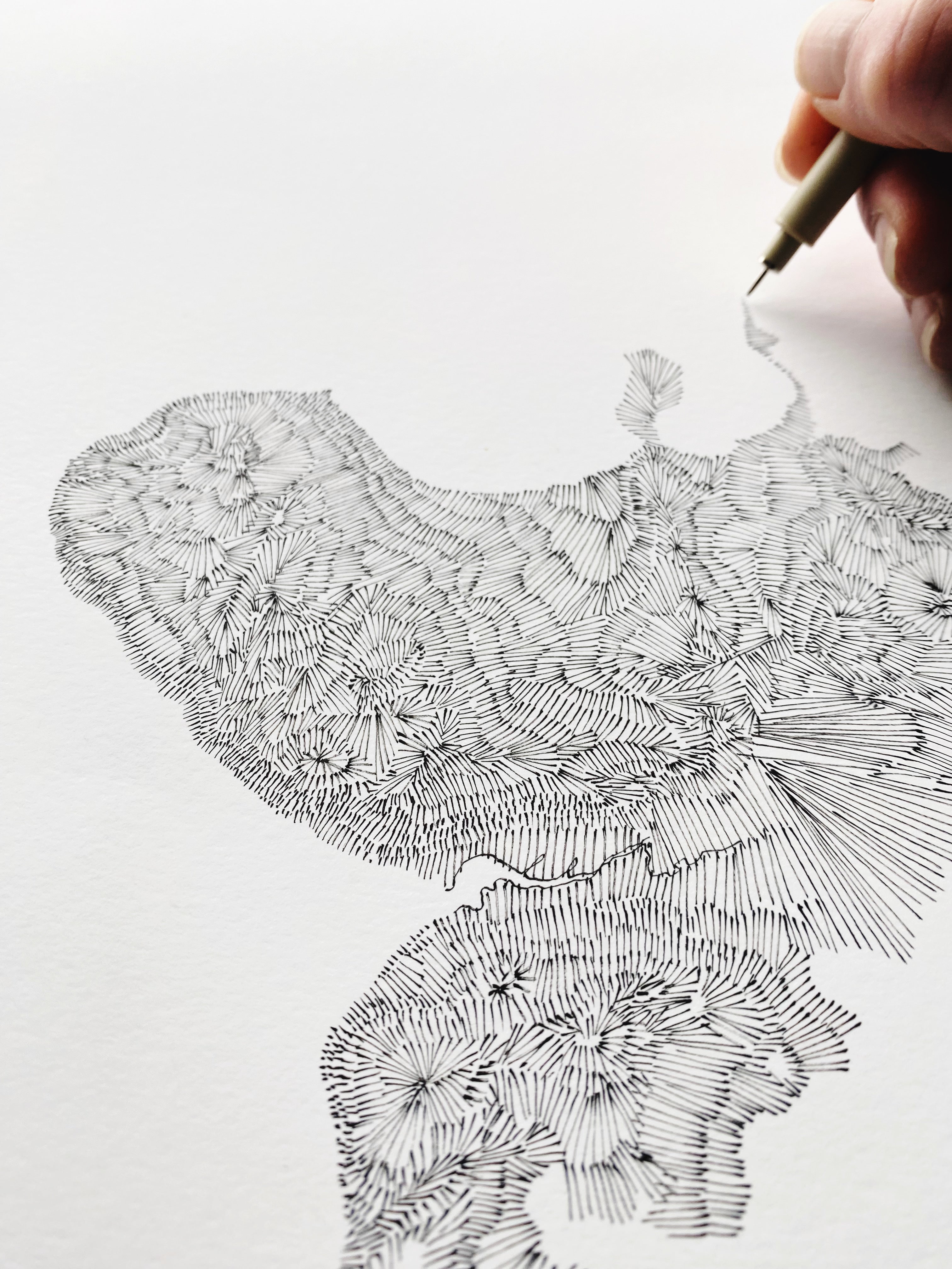 WHIDBEY Island Land + Water Map Drawing: PRINT