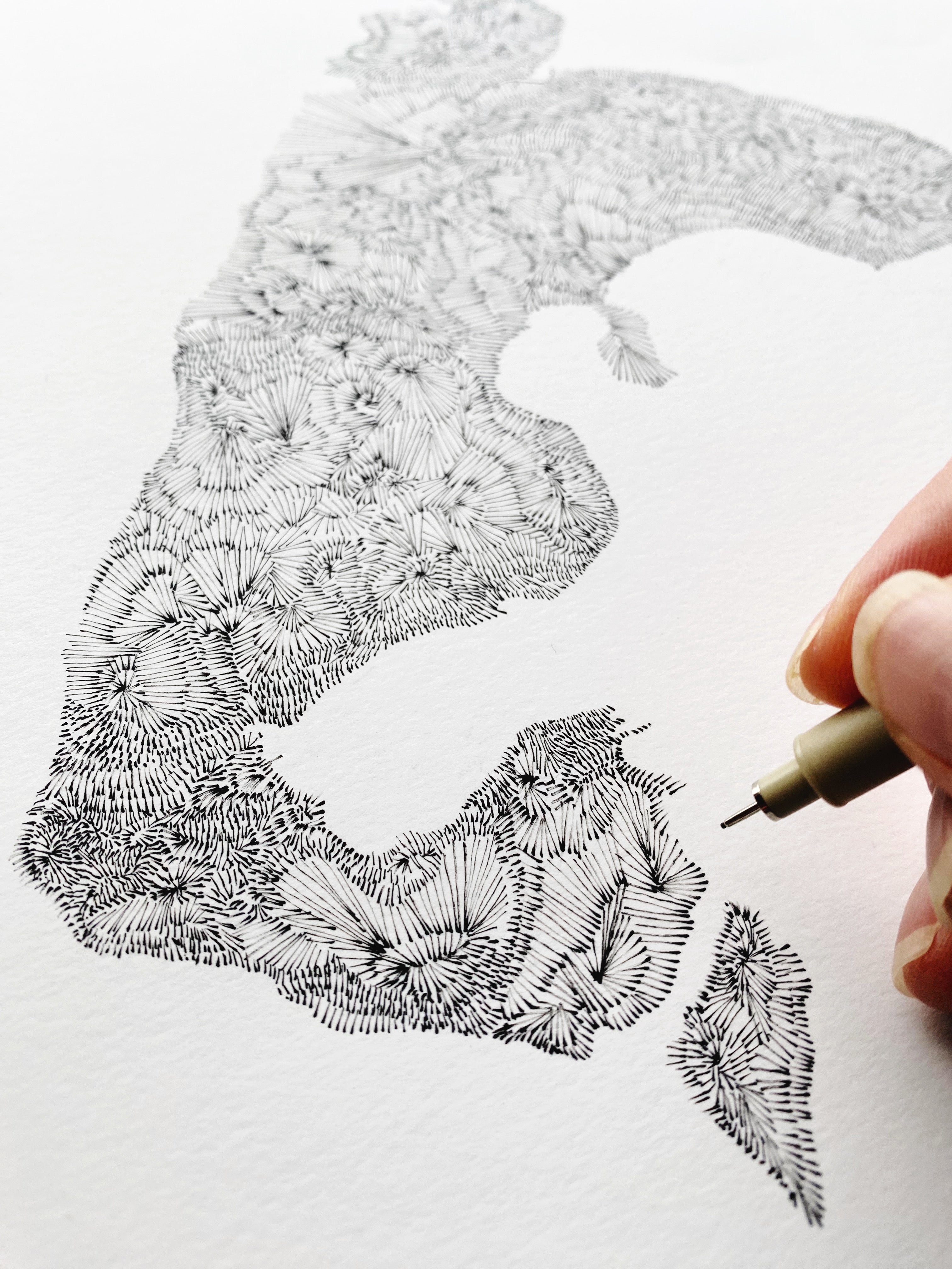 WHIDBEY Island Land + Water Map Drawing: PRINT