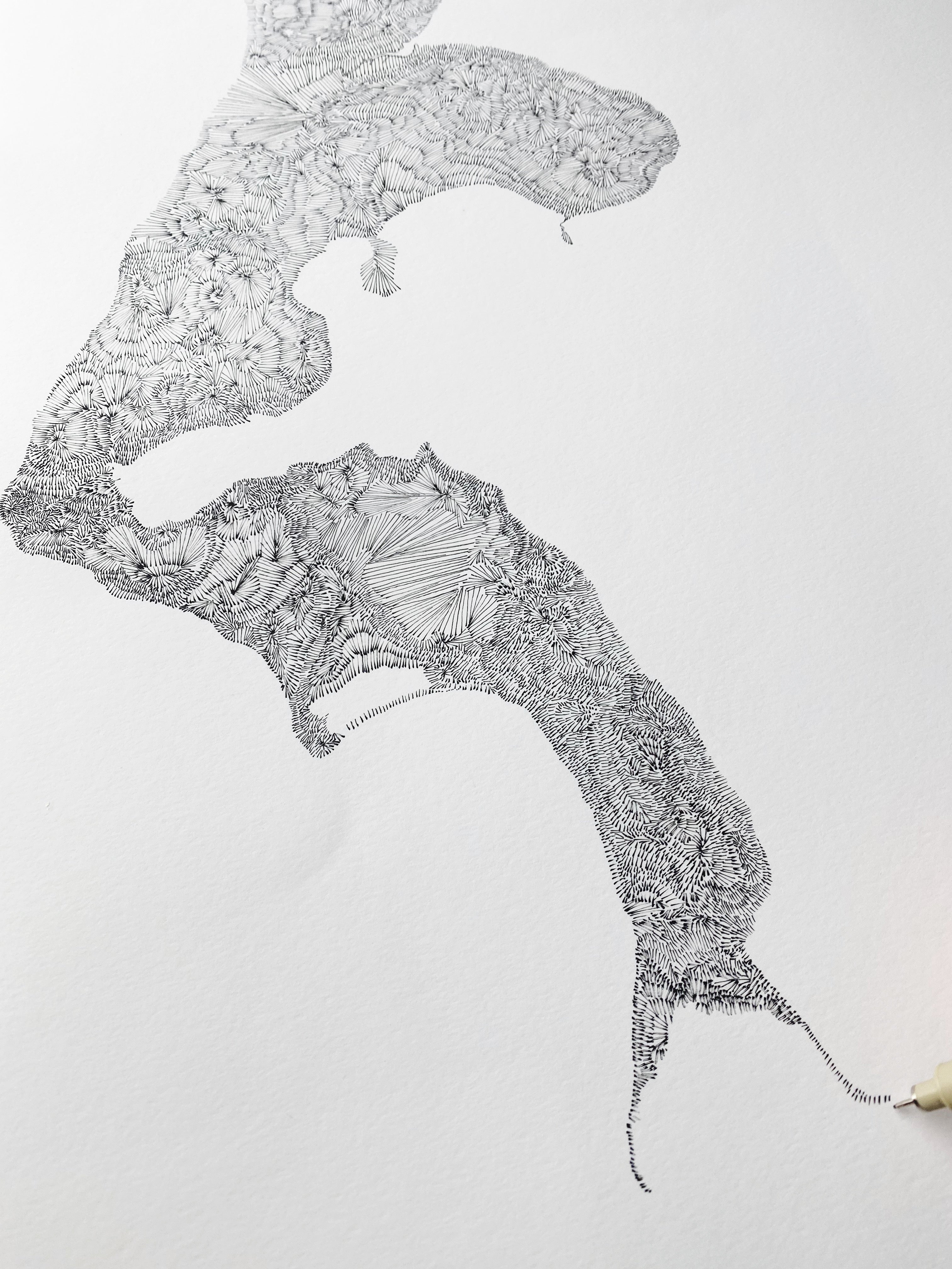 WHIDBEY Island Land + Water Map Drawing: PRINT