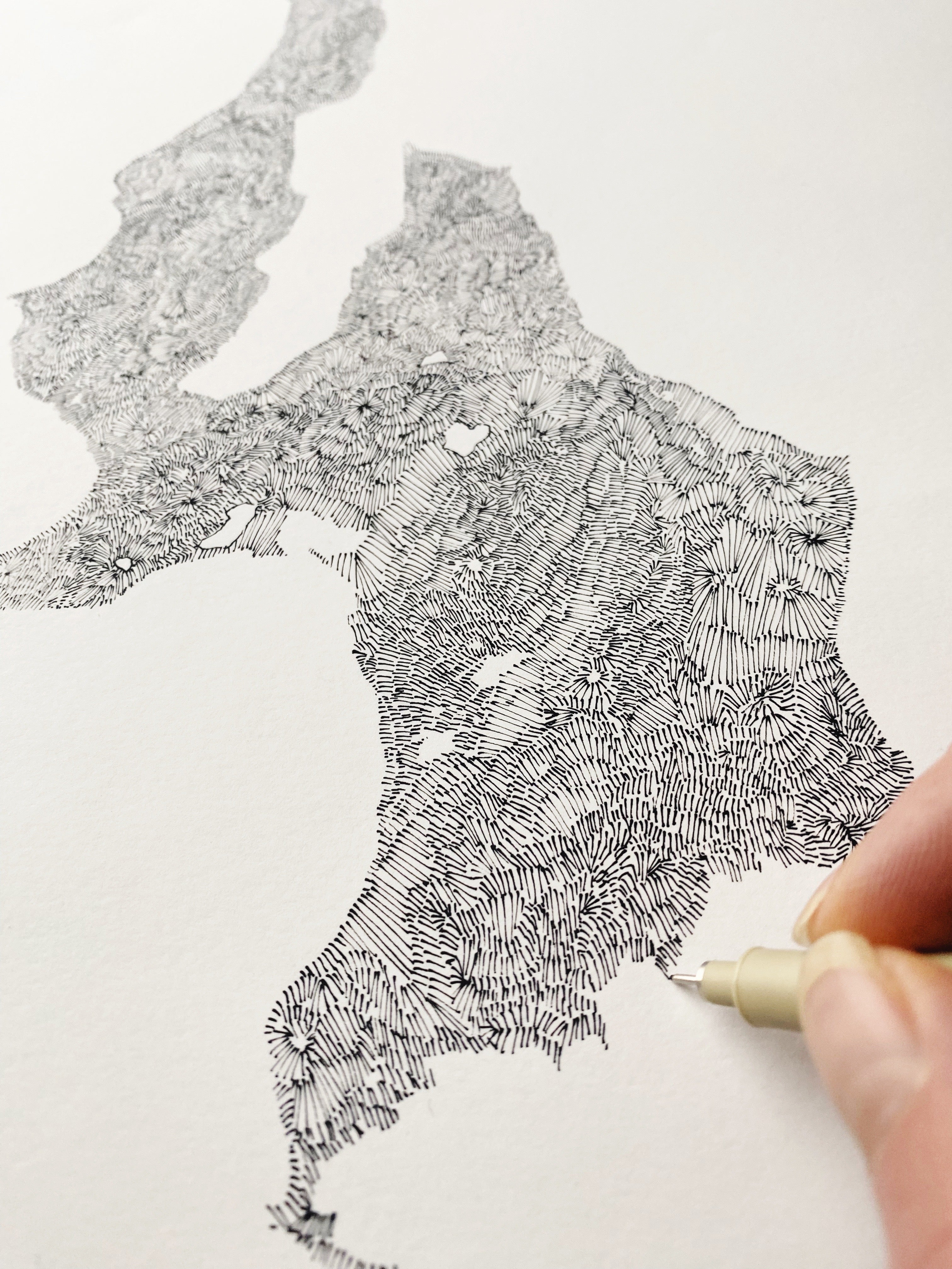 WHIDBEY Island Land + Water Map Drawing: PRINT
