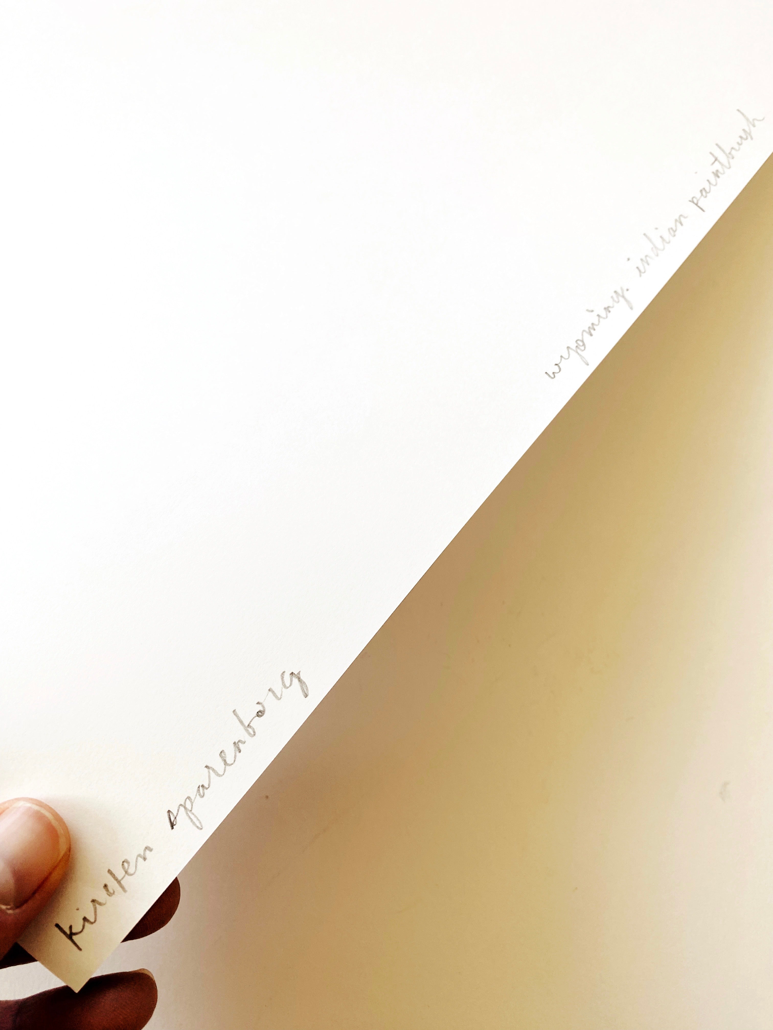 WYOMING State Flower Map: Scarlet Paintbrush: PRINT