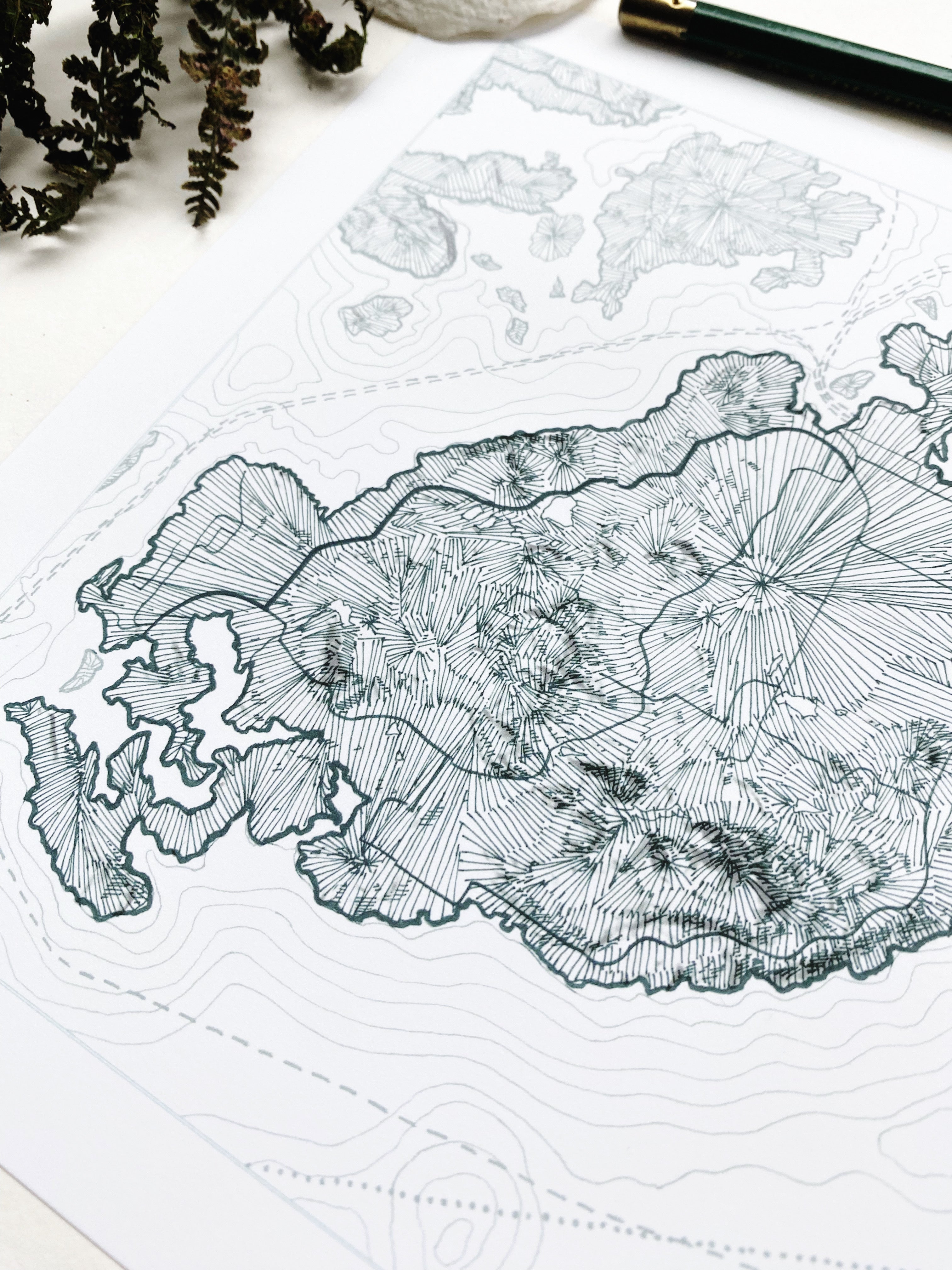 SAN JUAN ISLAND Washington Topographic + Bathymetric Map Drawing: PRINT