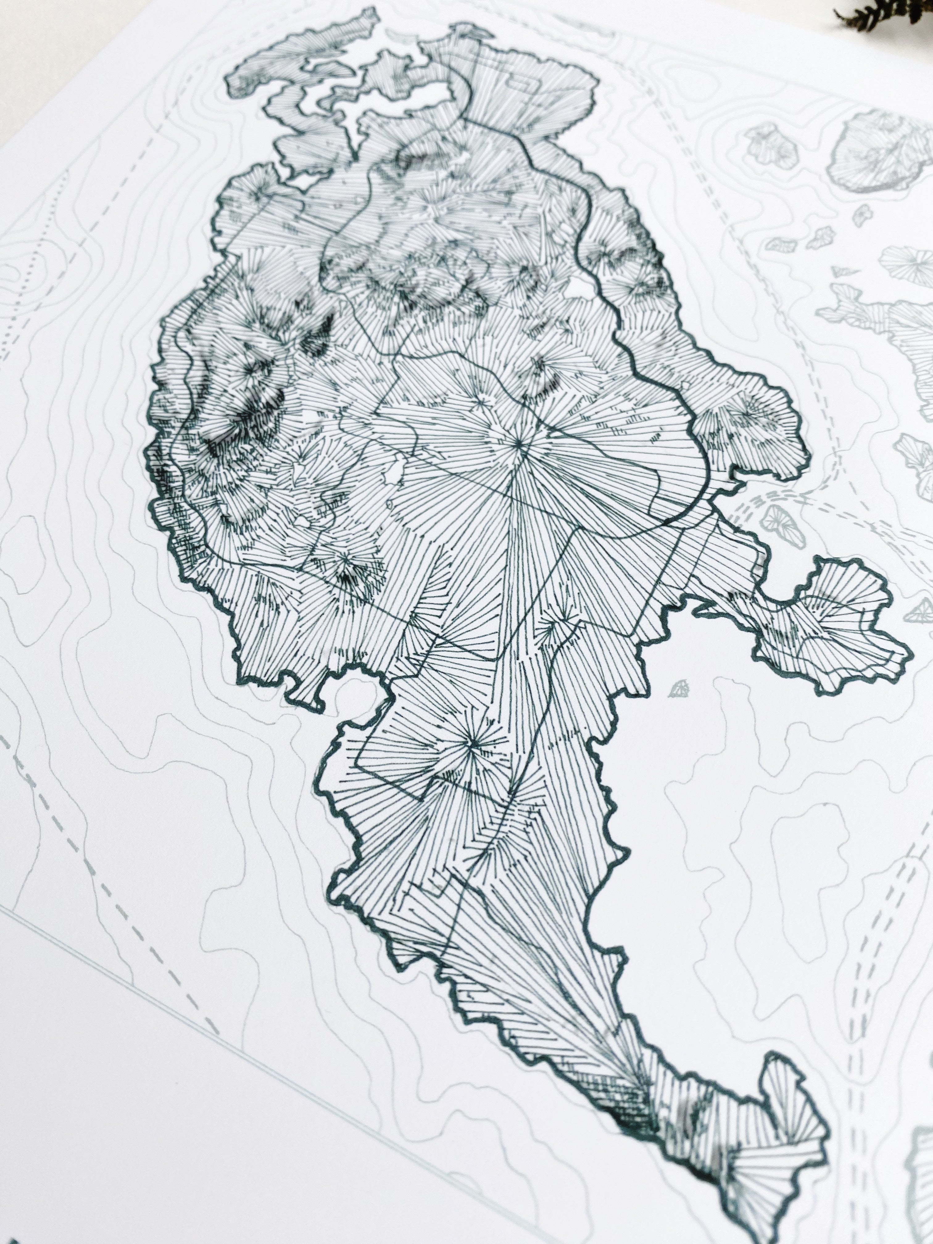 SAN JUAN ISLAND Washington Topographic + Bathymetric Map Drawing: PRINT