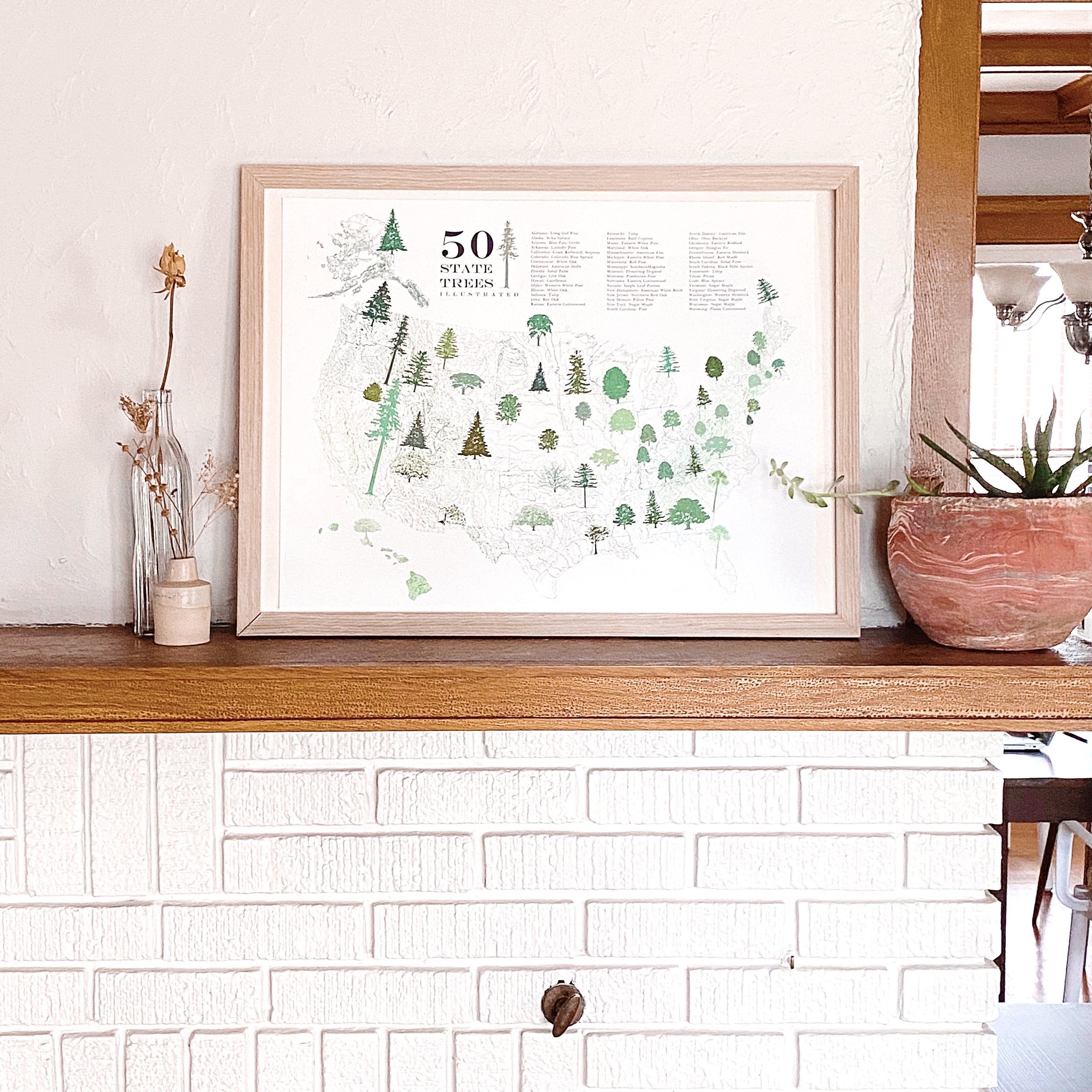 STATE TREEscape USA Map Drawing: PRINT (all 50 - with key)